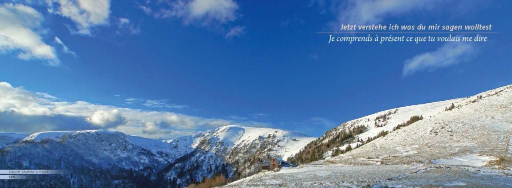 Beispielinhalt (Bild) Elsass und Vogesen