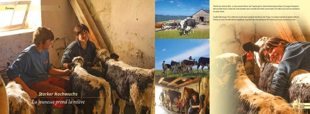 Beispielinhalt (Bild) Elsass und Vogesen