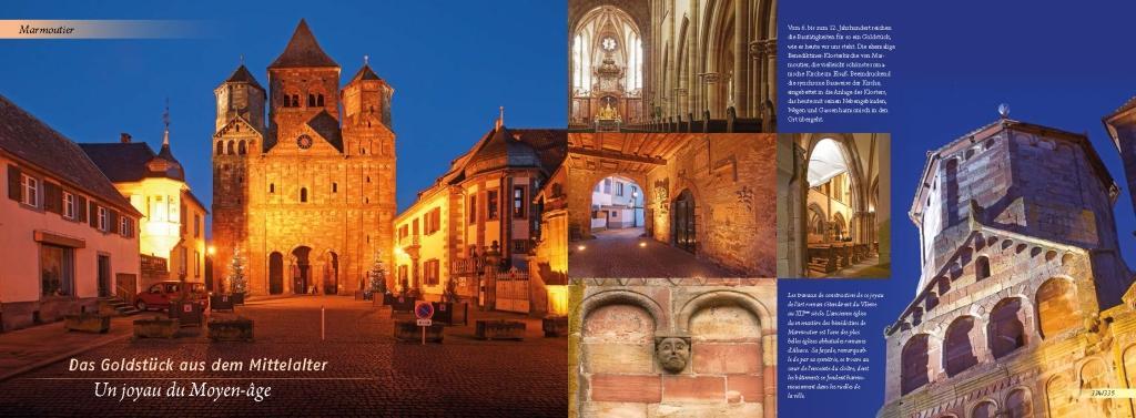 Beispielinhalt (Bild) Elsass und Vogesen