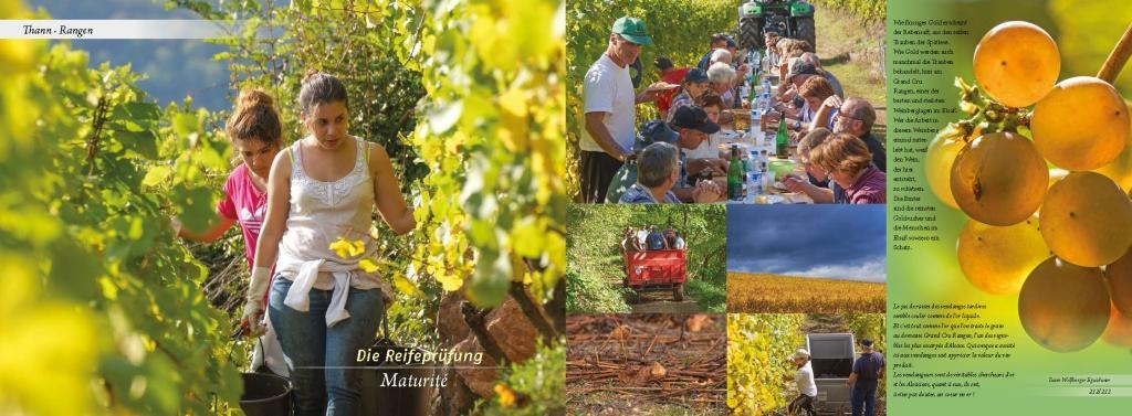 Beispielinhalt (Bild) Elsass und Vogesen