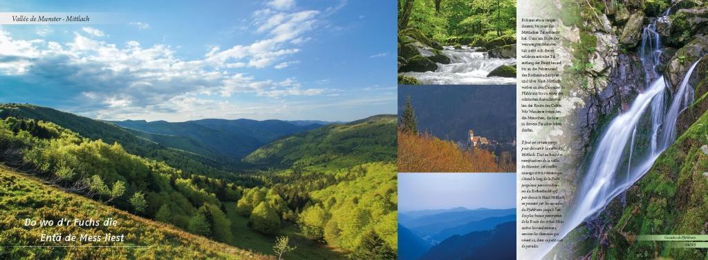 Beispielinhalt (Bild) Elsass und Vogesen