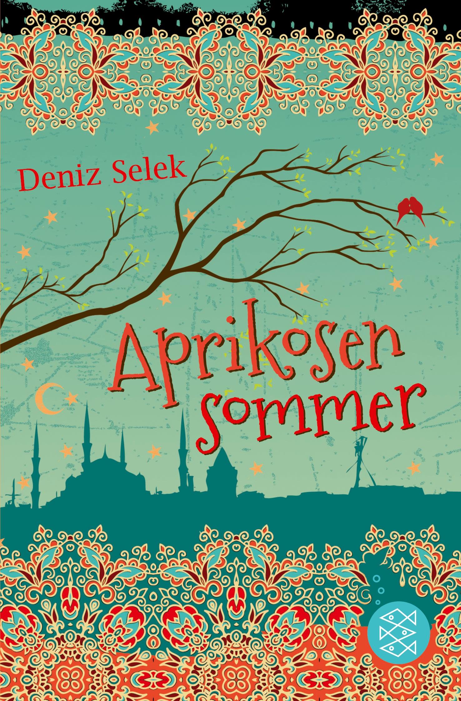 Vorderes Coverbild Aprikosensommer