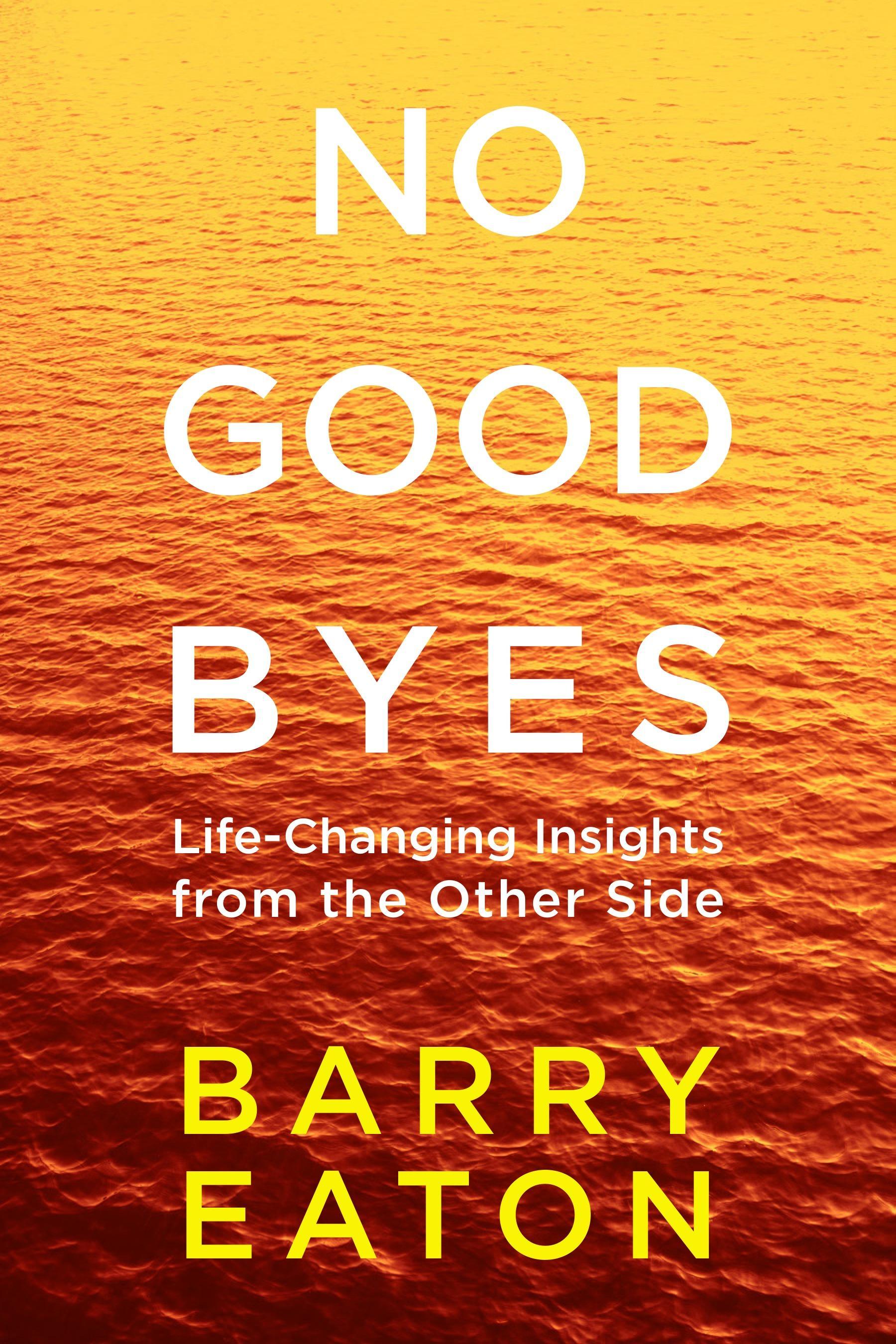 Vorderes Coverbild No Goodbyes