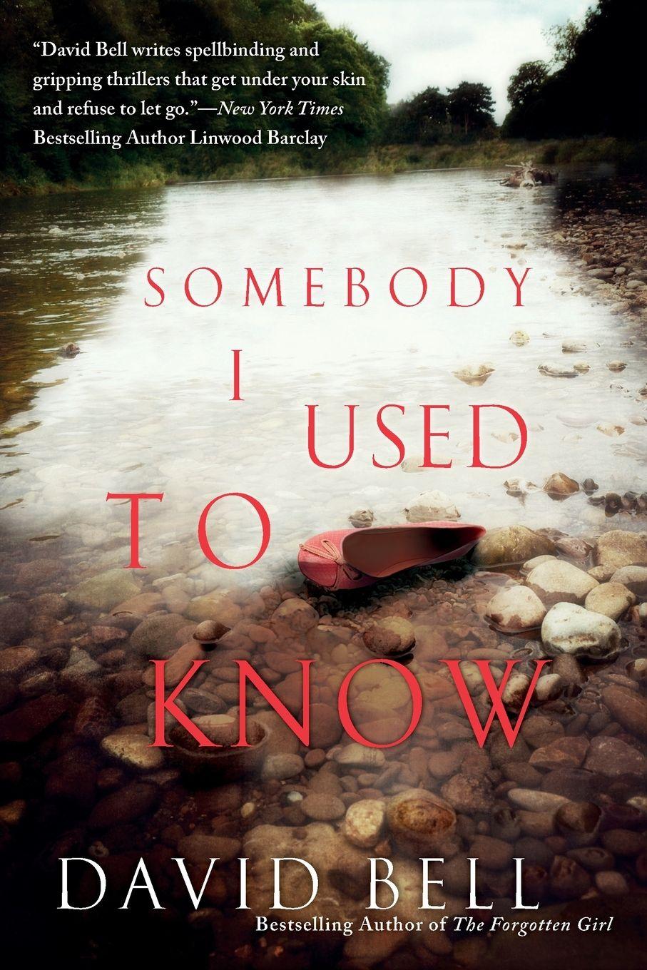 Vorderes Coverbild Somebody I Used to Know