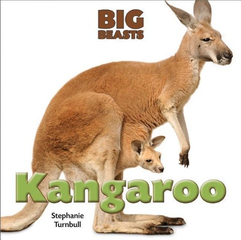 Vorderes Coverbild Kangaroo