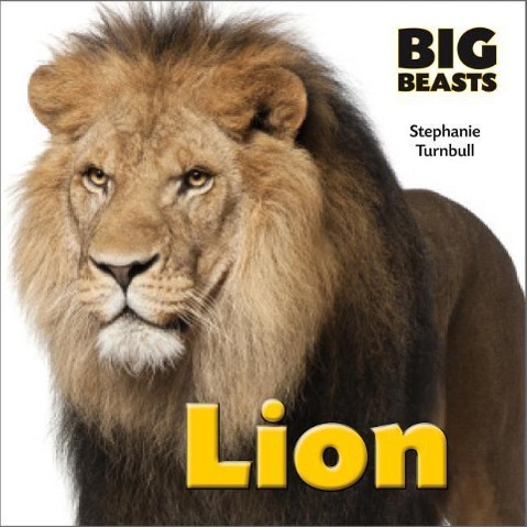 Vorderes Coverbild Lion