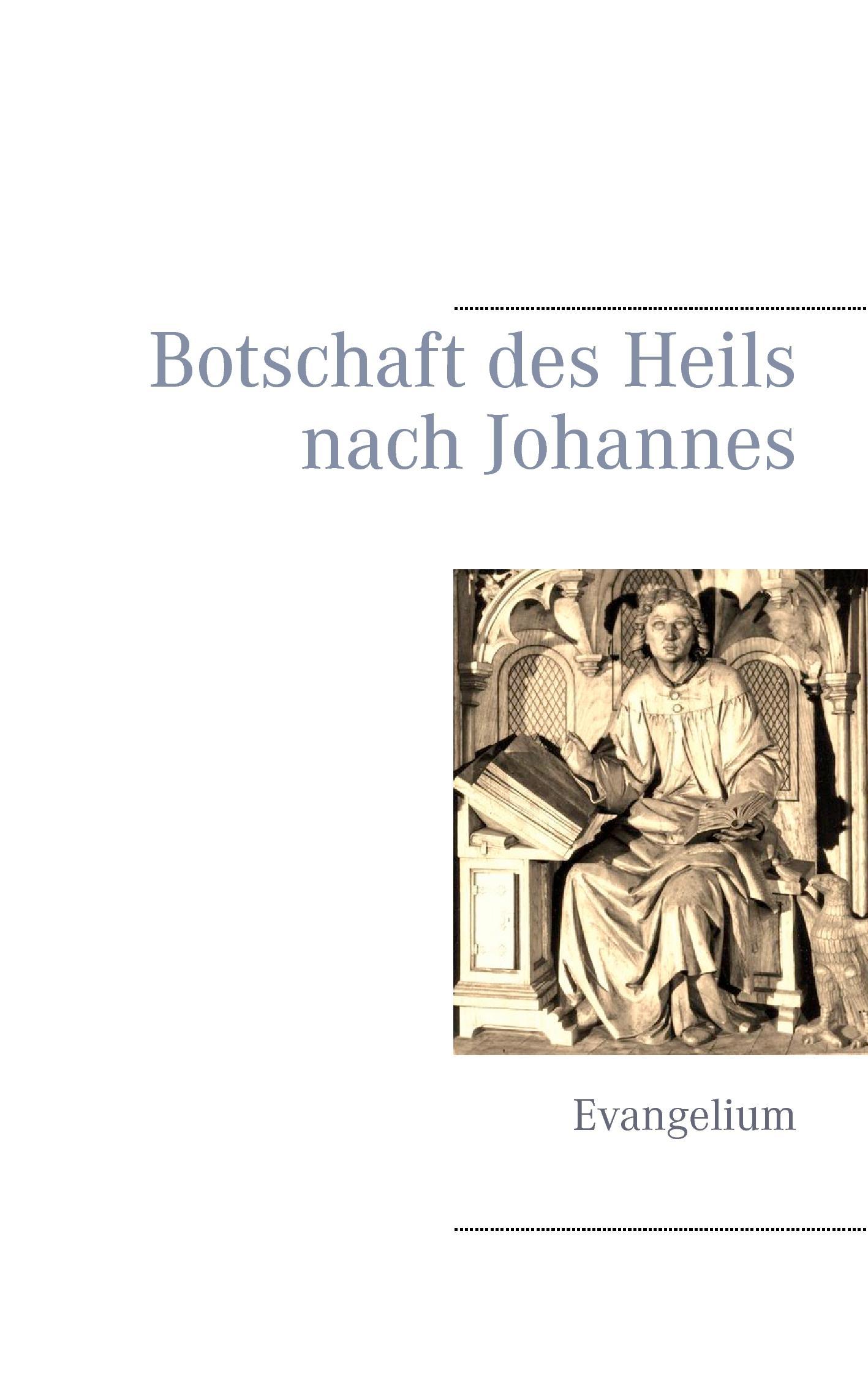 Vorderes Coverbild Botschaft des Heils nach Johannes