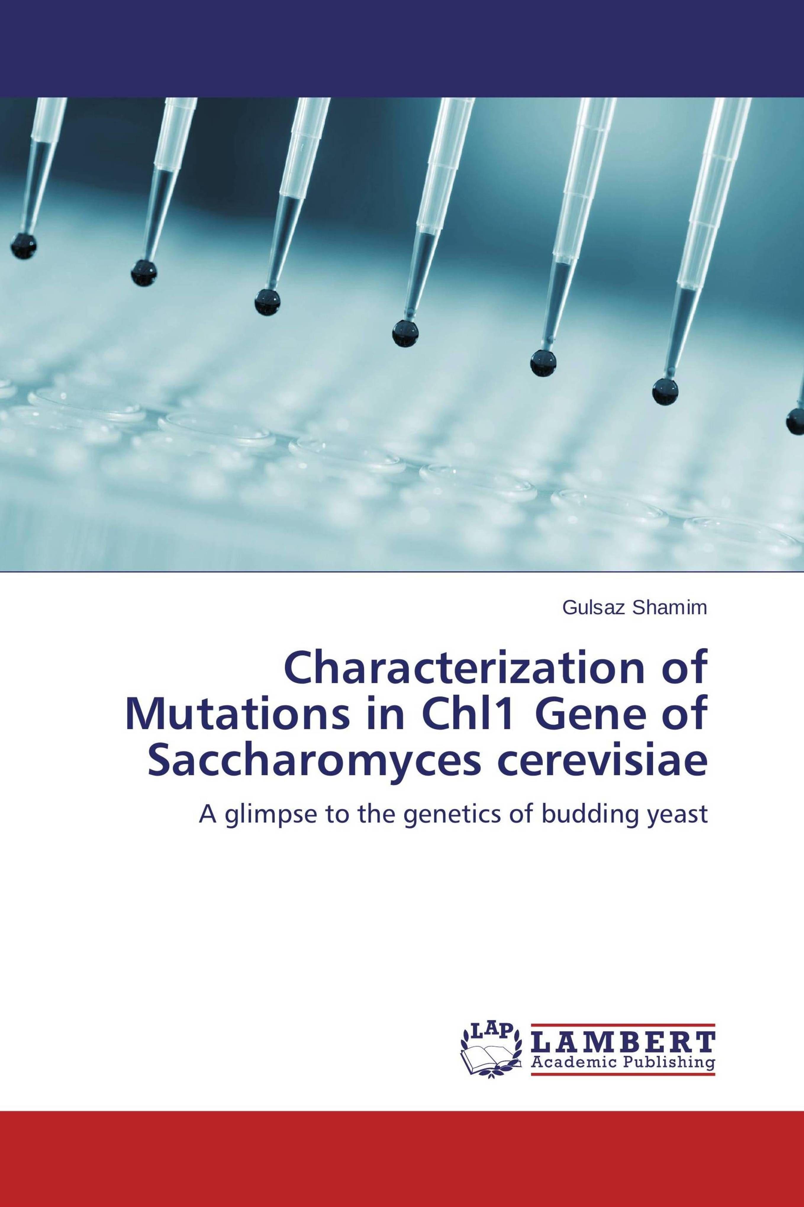 Vorderes Coverbild Characterization of Mutations in Chl1 Gene of Saccharomyces cerevisiae