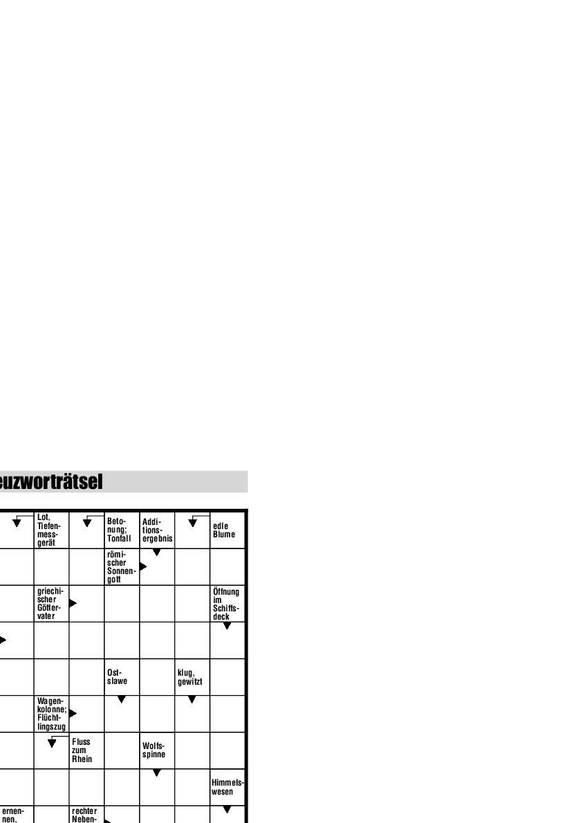 Beispielinhalt (Bild) Der große Rätselblock 41