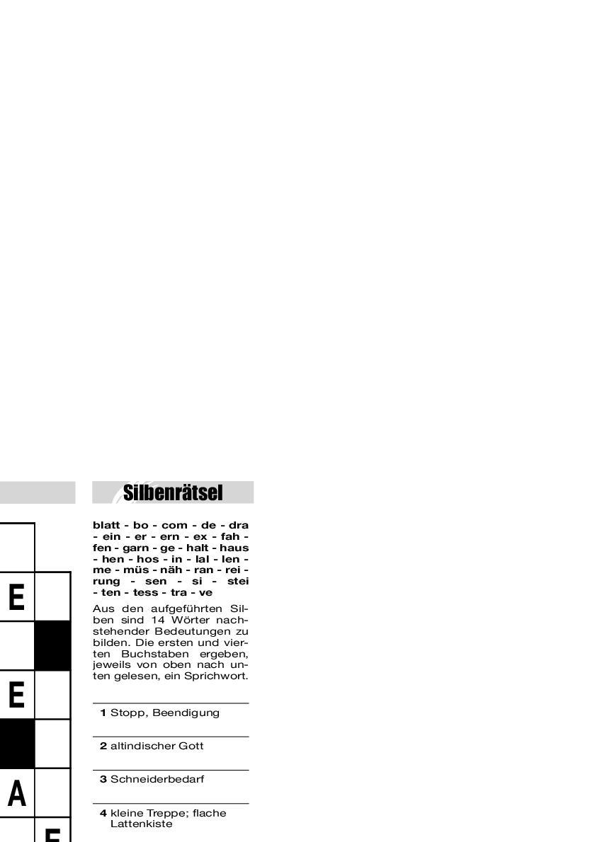 Beispielinhalt (Bild) Der große Rätselblock 41