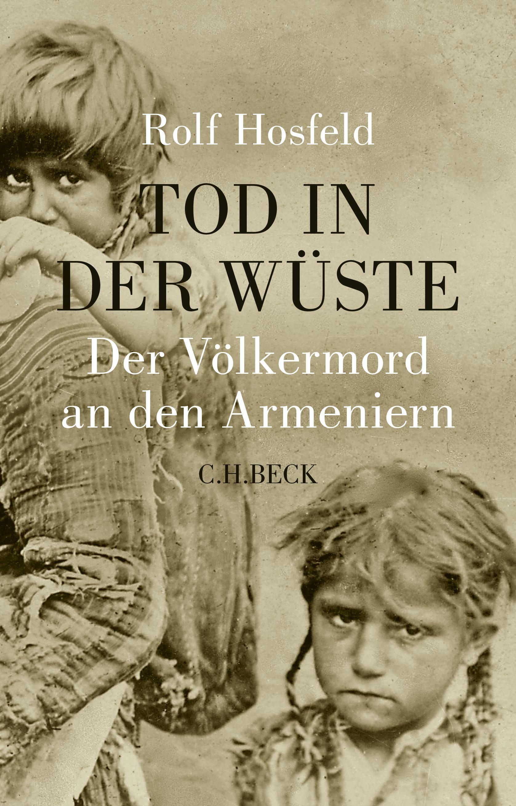 Vorderes Coverbild Tod in der Wüste