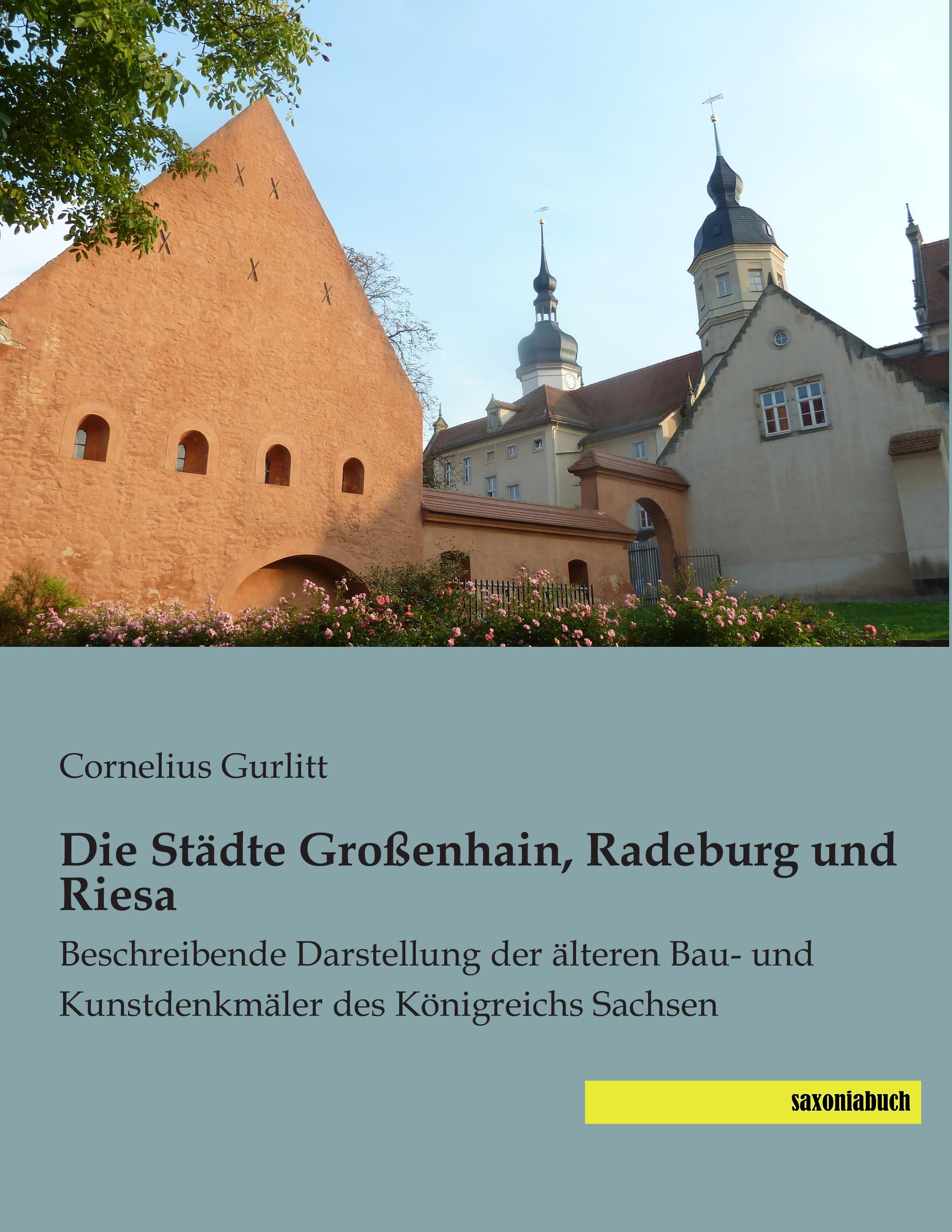 Vorderes Coverbild Die Städte Großenhain, Radeburg und Riesa