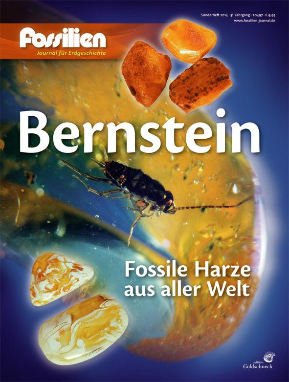 Vorderes Coverbild Bernstein