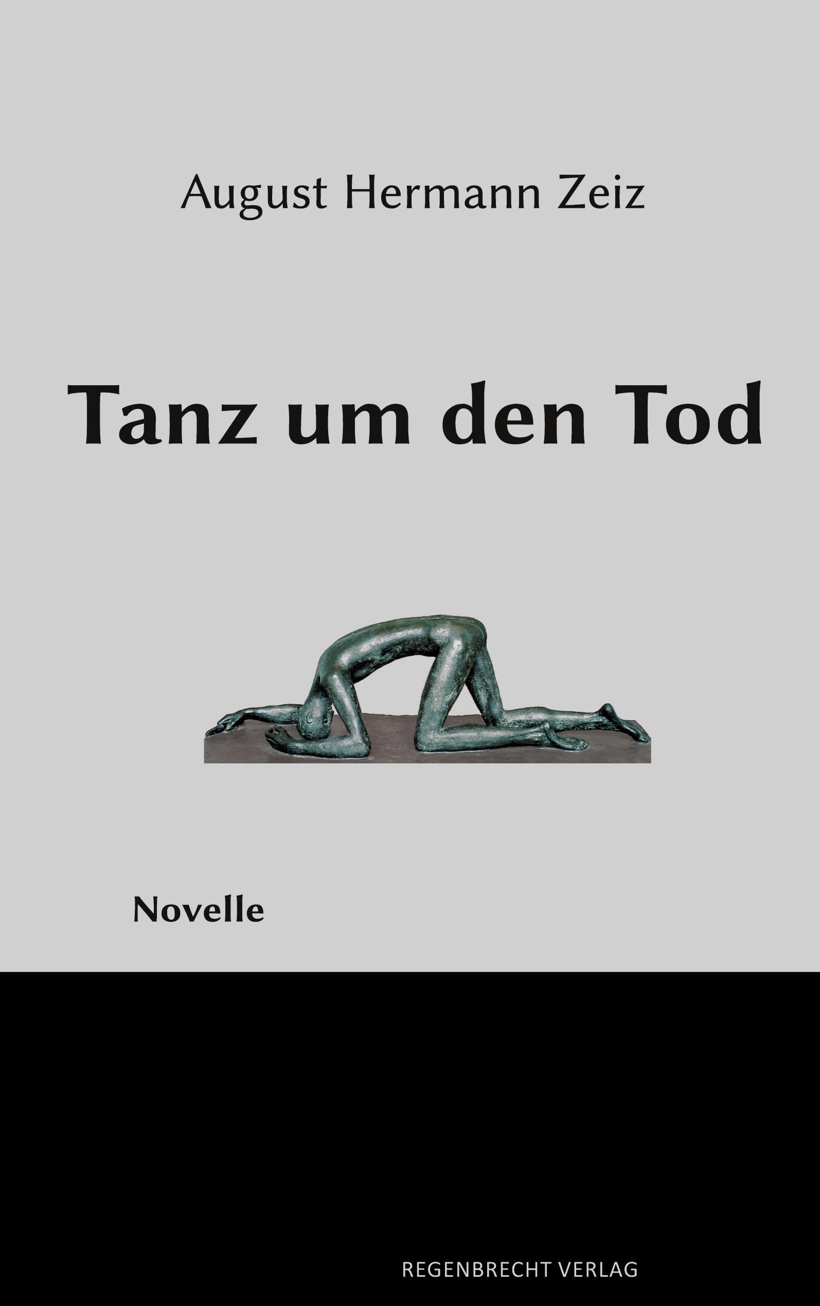 Vorderes Coverbild Tanz um den Tod