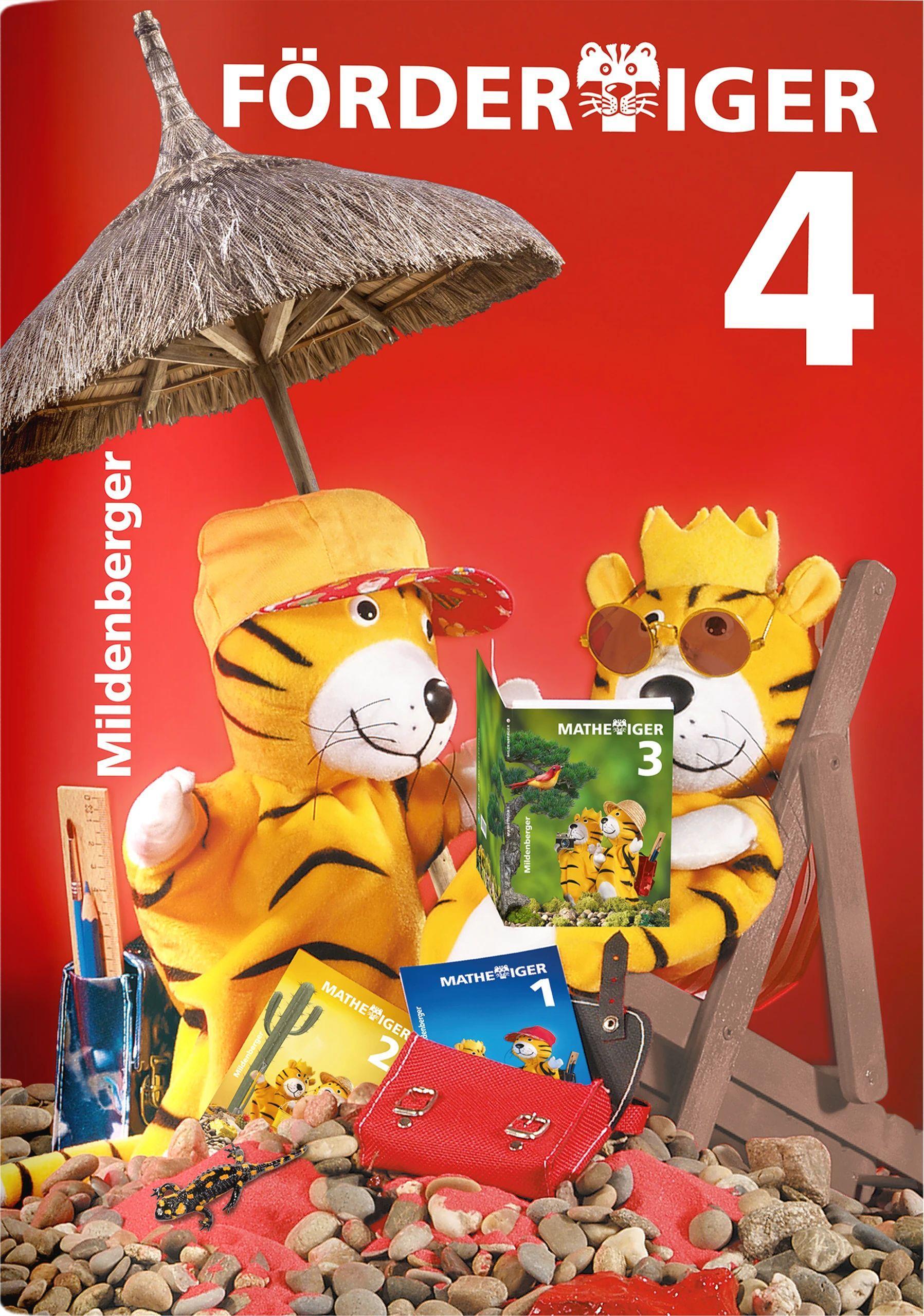 Vorderes Coverbild Fördertiger 4