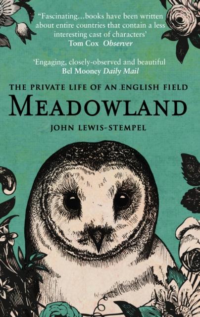 Vorderes Coverbild Meadowland