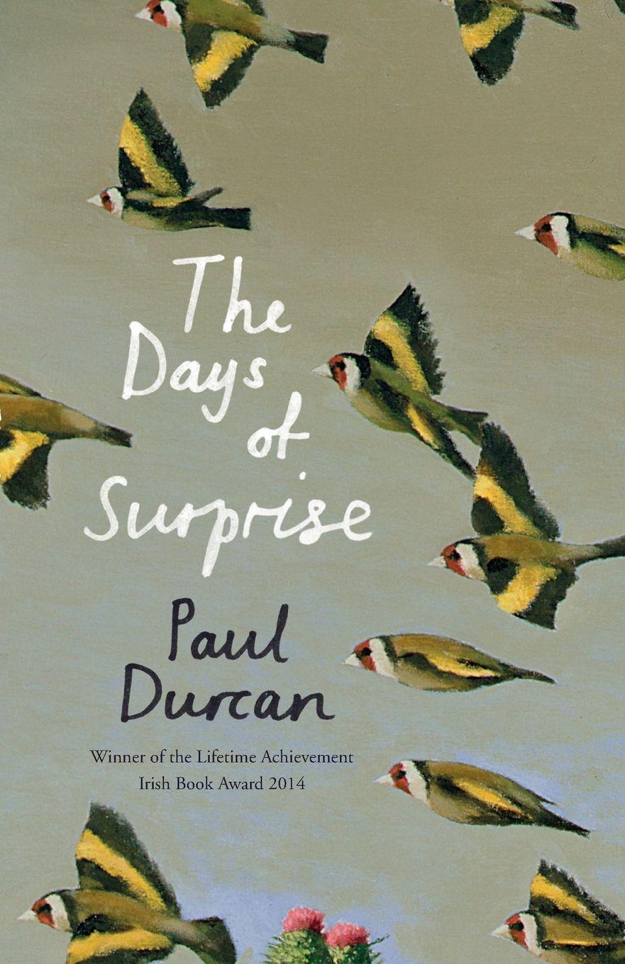 Vorderes Coverbild The Days of Surprise