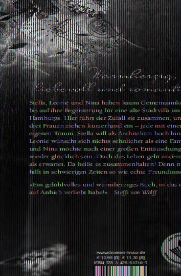 Rückseitencover Eine Villa zum Verlieben