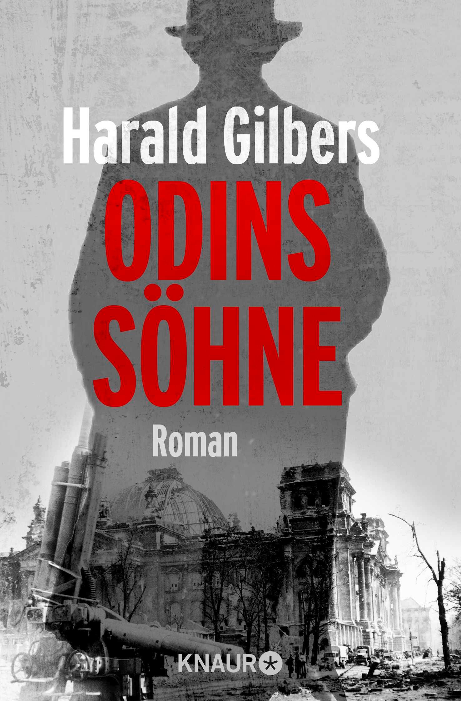 Vorderes Coverbild Odins Söhne