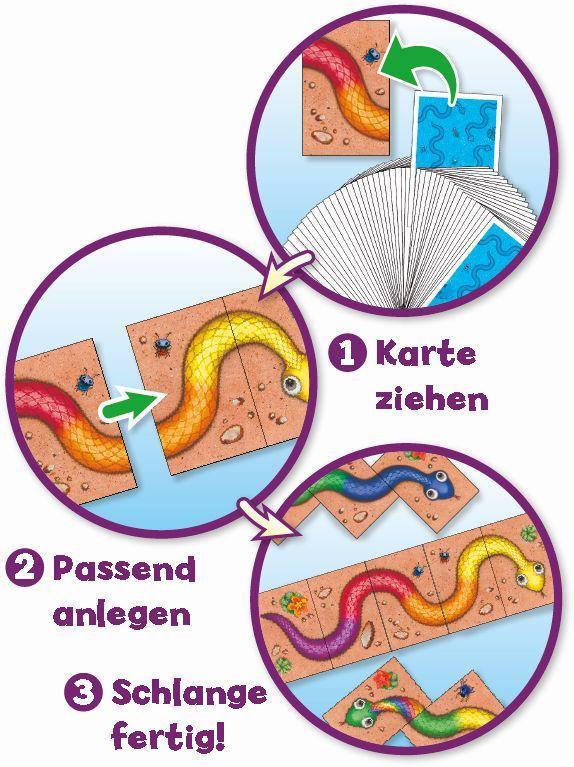 Beispielinhalt (Bild) Regenbogenschlange