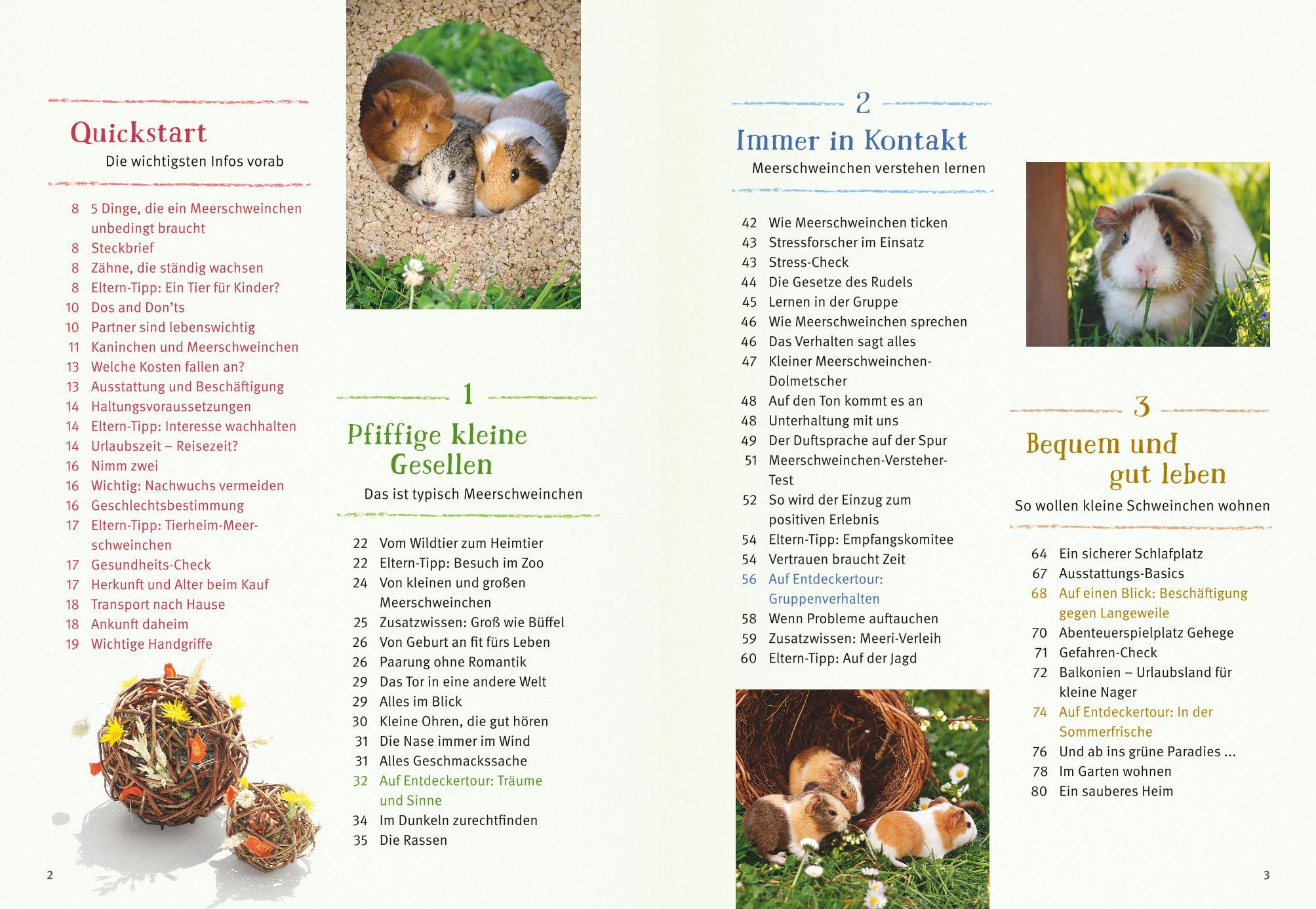 Beispielinhalt (Bild) Neugierige Meerschweinchen