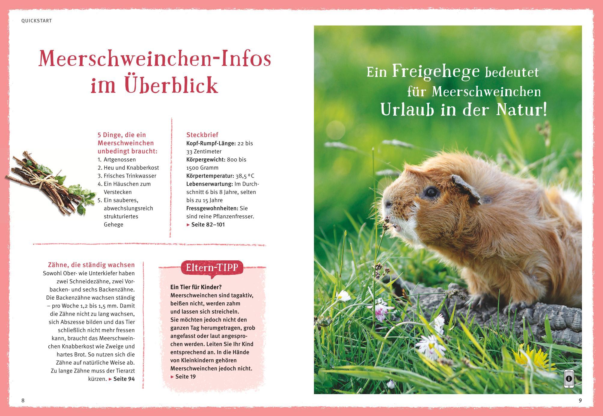 Beispielinhalt (Bild) Neugierige Meerschweinchen
