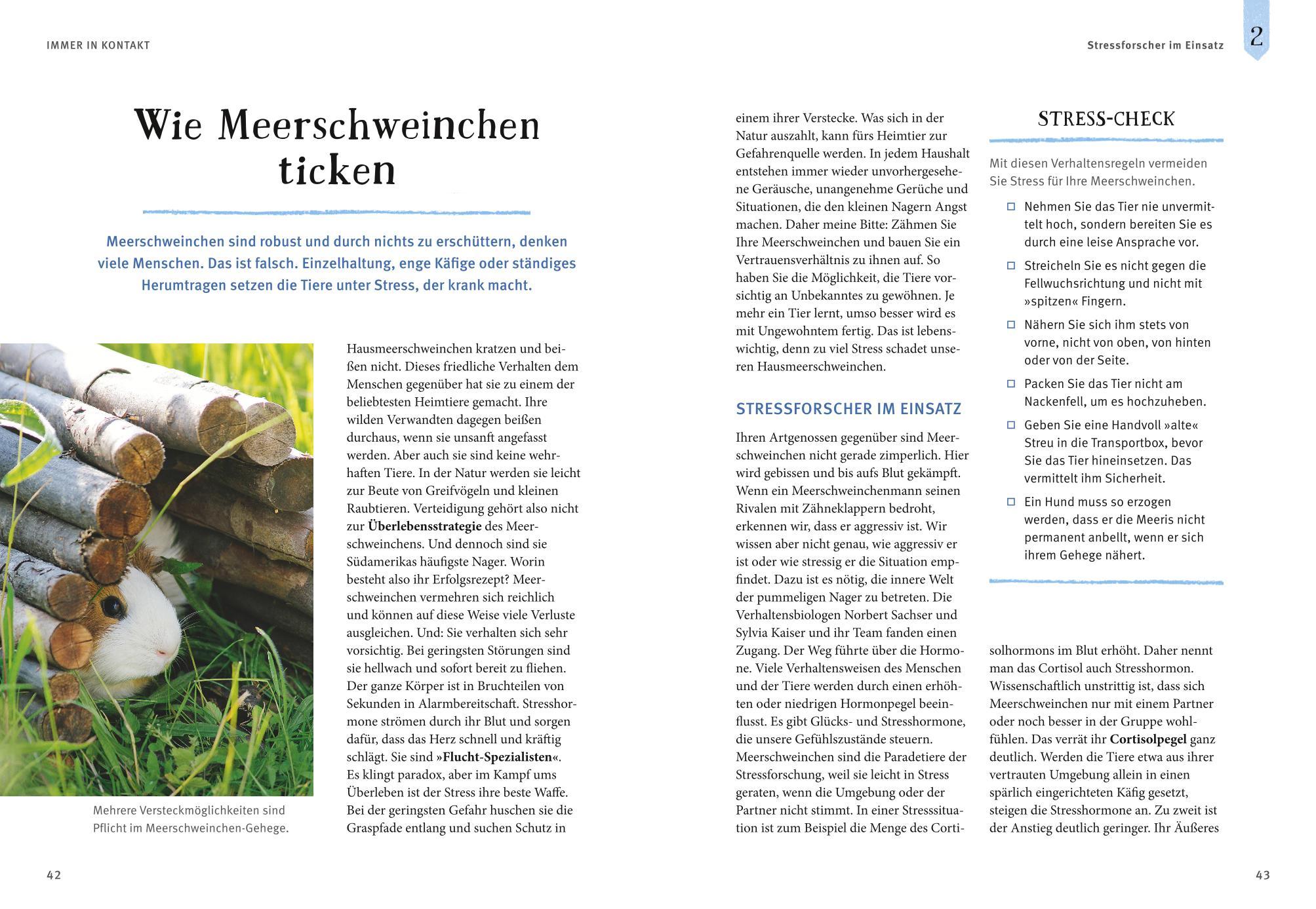 Beispielinhalt (Bild) Neugierige Meerschweinchen