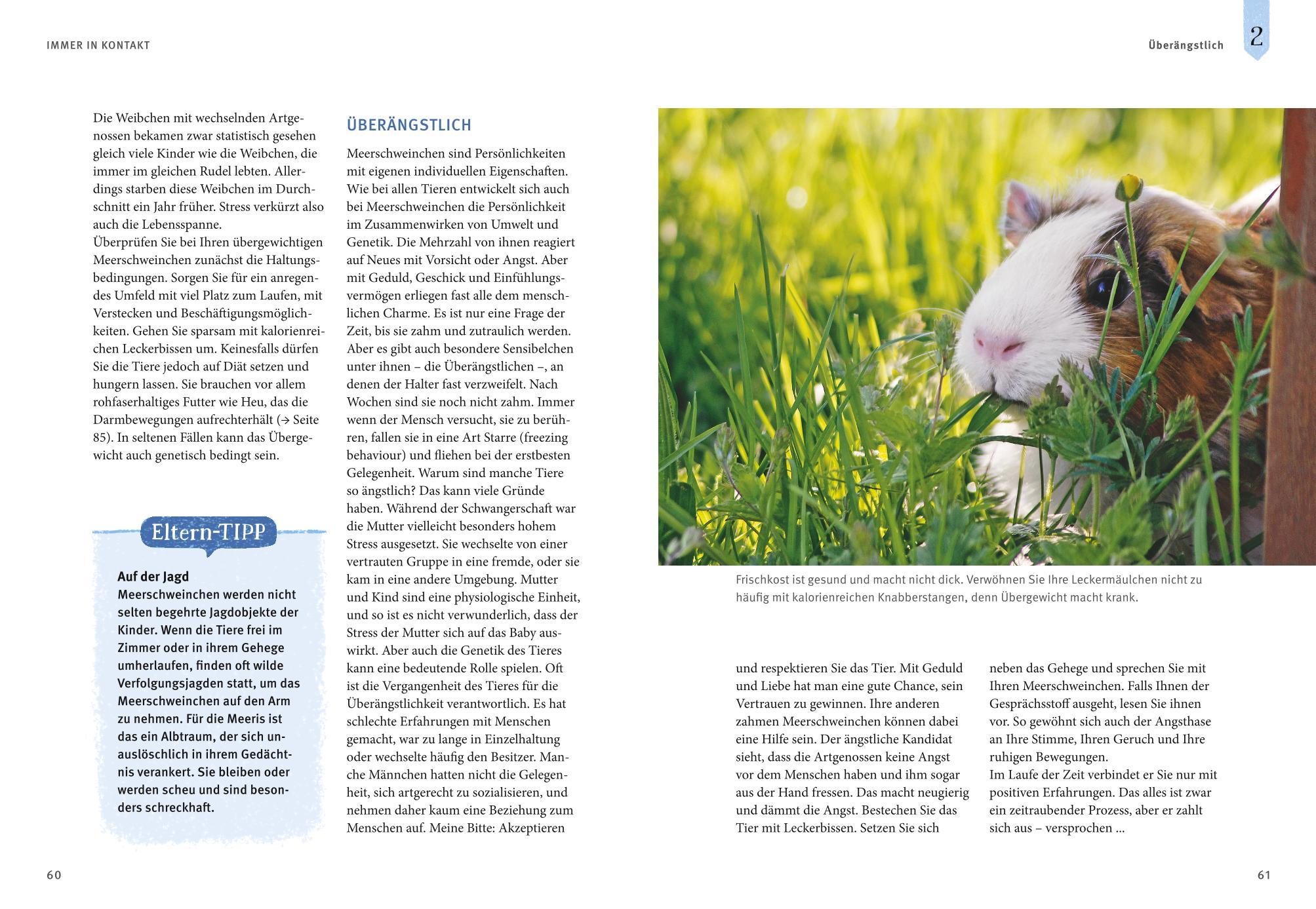 Beispielinhalt (Bild) Neugierige Meerschweinchen