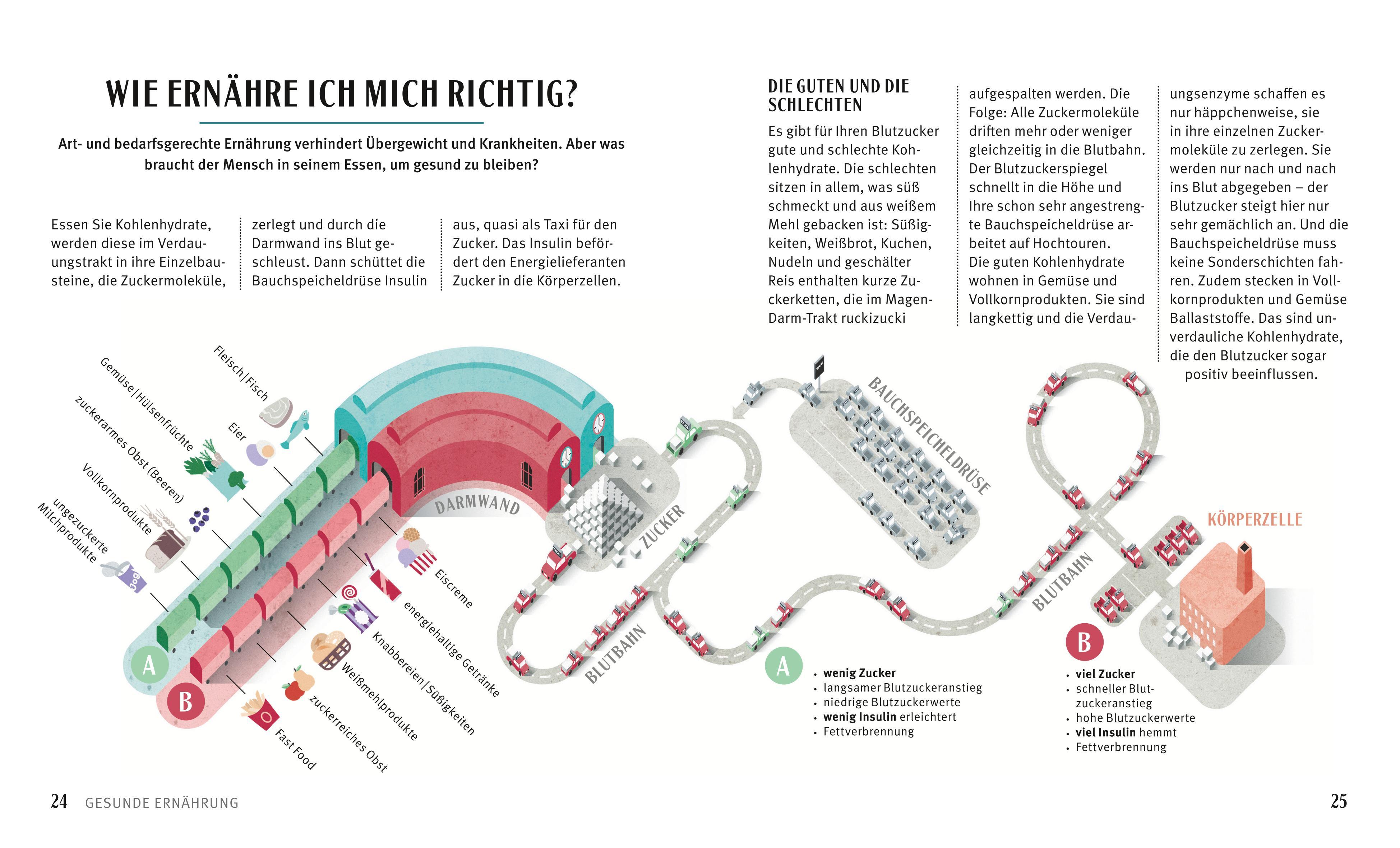 Beispielinhalt (Bild) Diabetes-Kochbuch