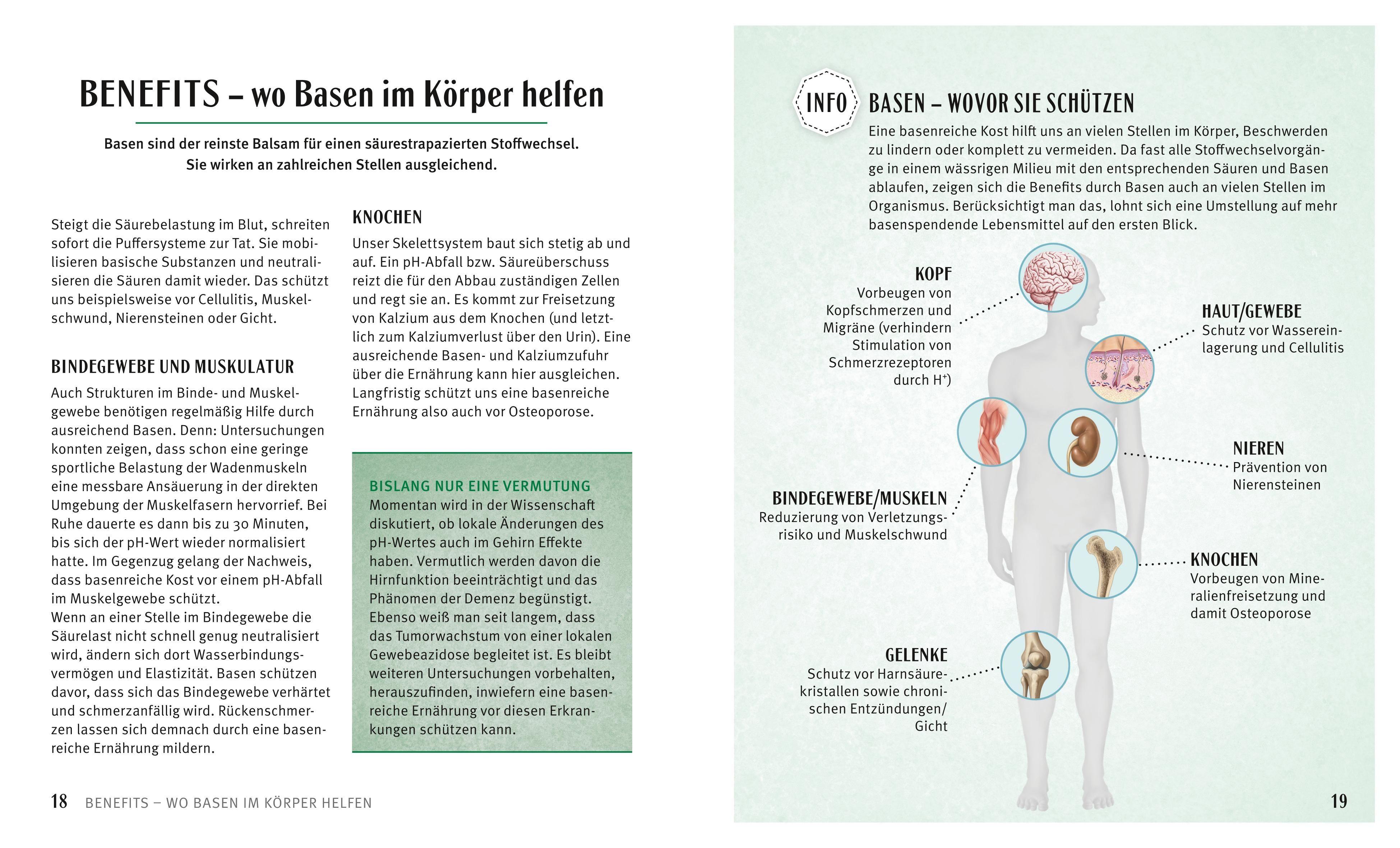 Beispielinhalt (Bild) Säure-Basen-Kochbuch