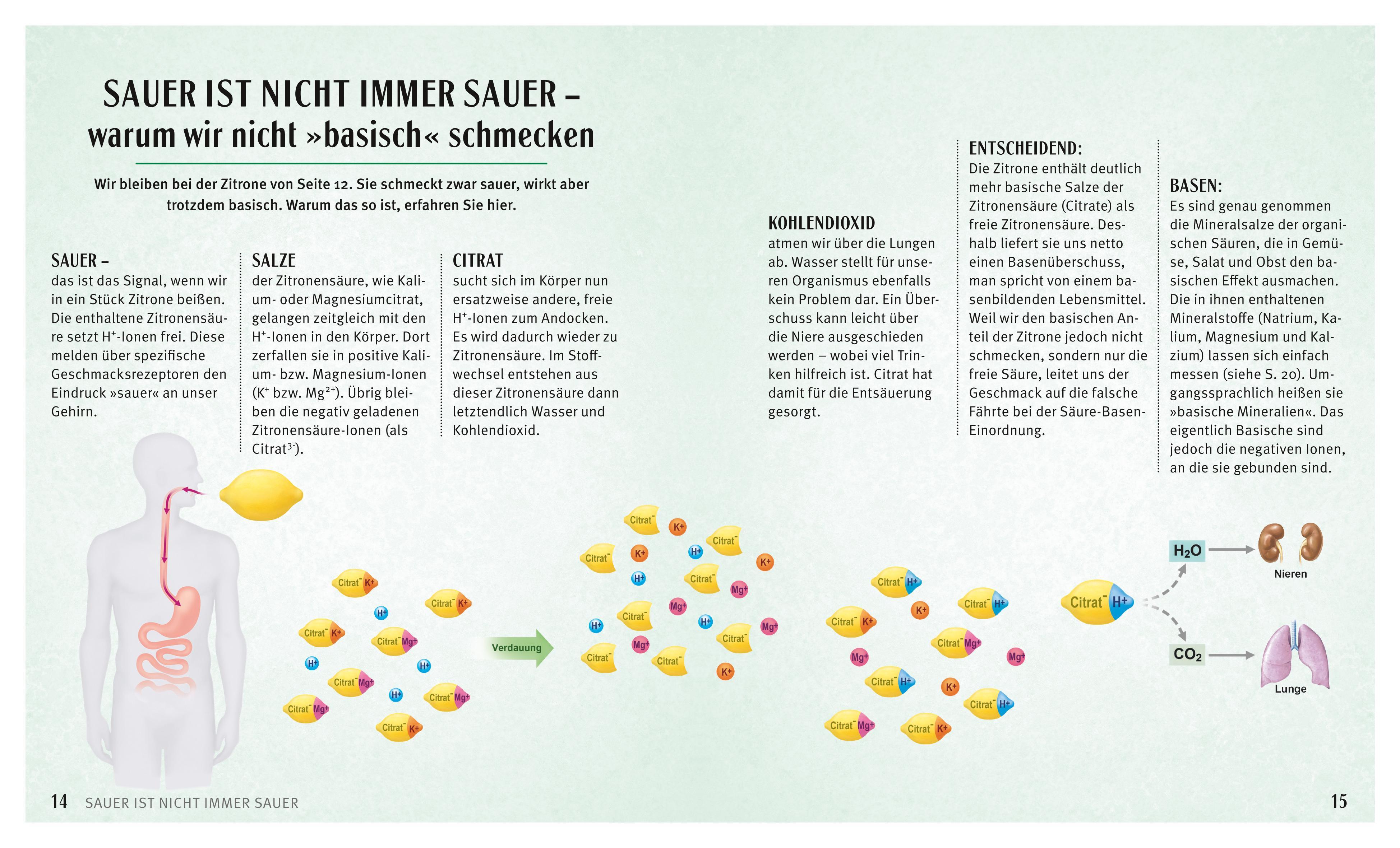Beispielinhalt (Bild) Säure-Basen-Kochbuch