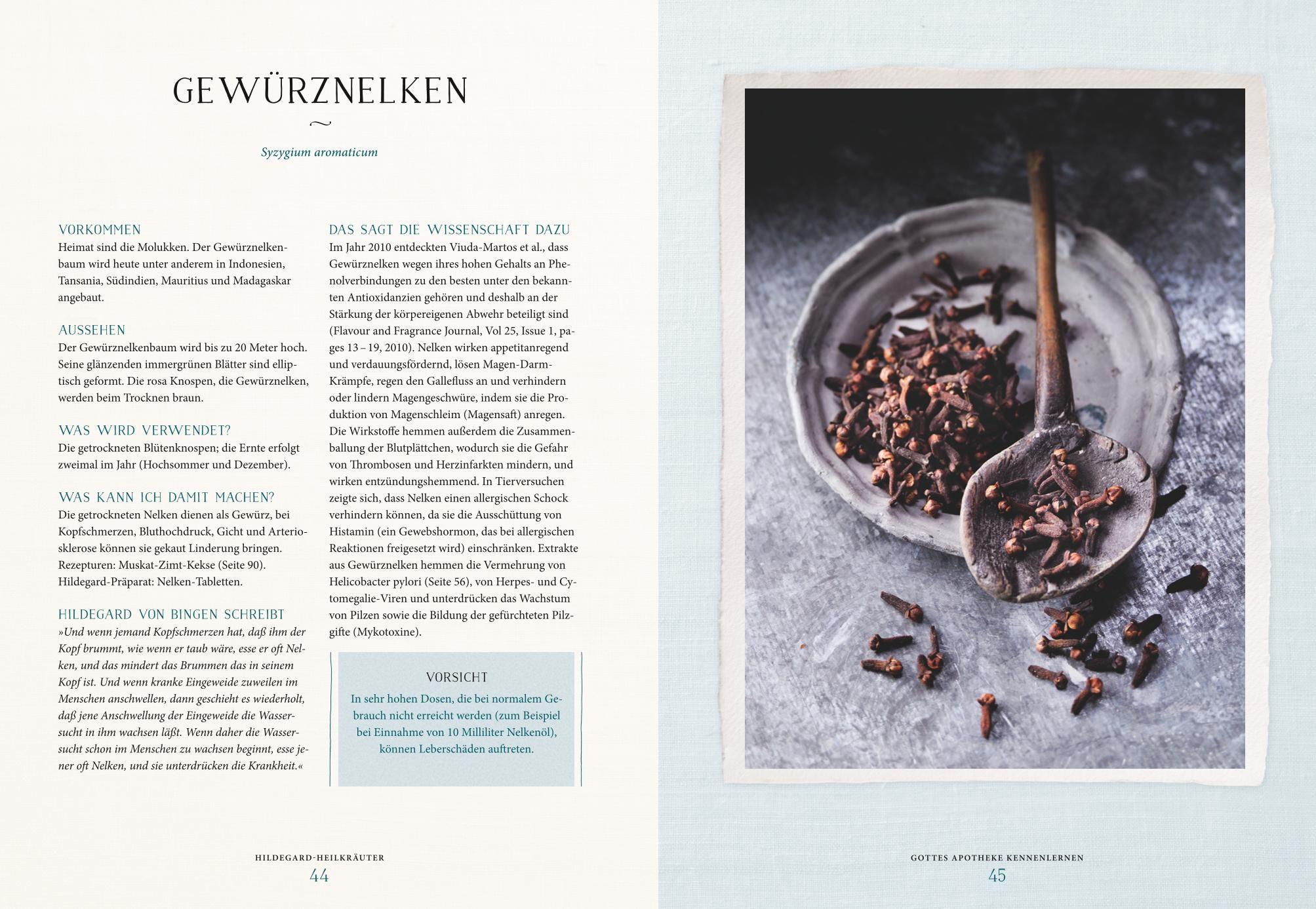 Beispielinhalt (Bild) Das Heilwissen der Hildegard von Bingen