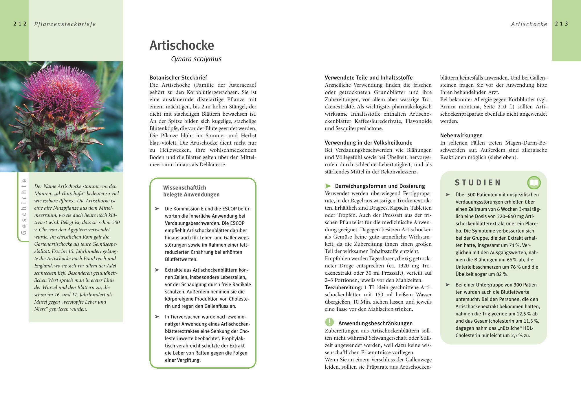 Beispielinhalt (Bild) Grüne Apotheke
