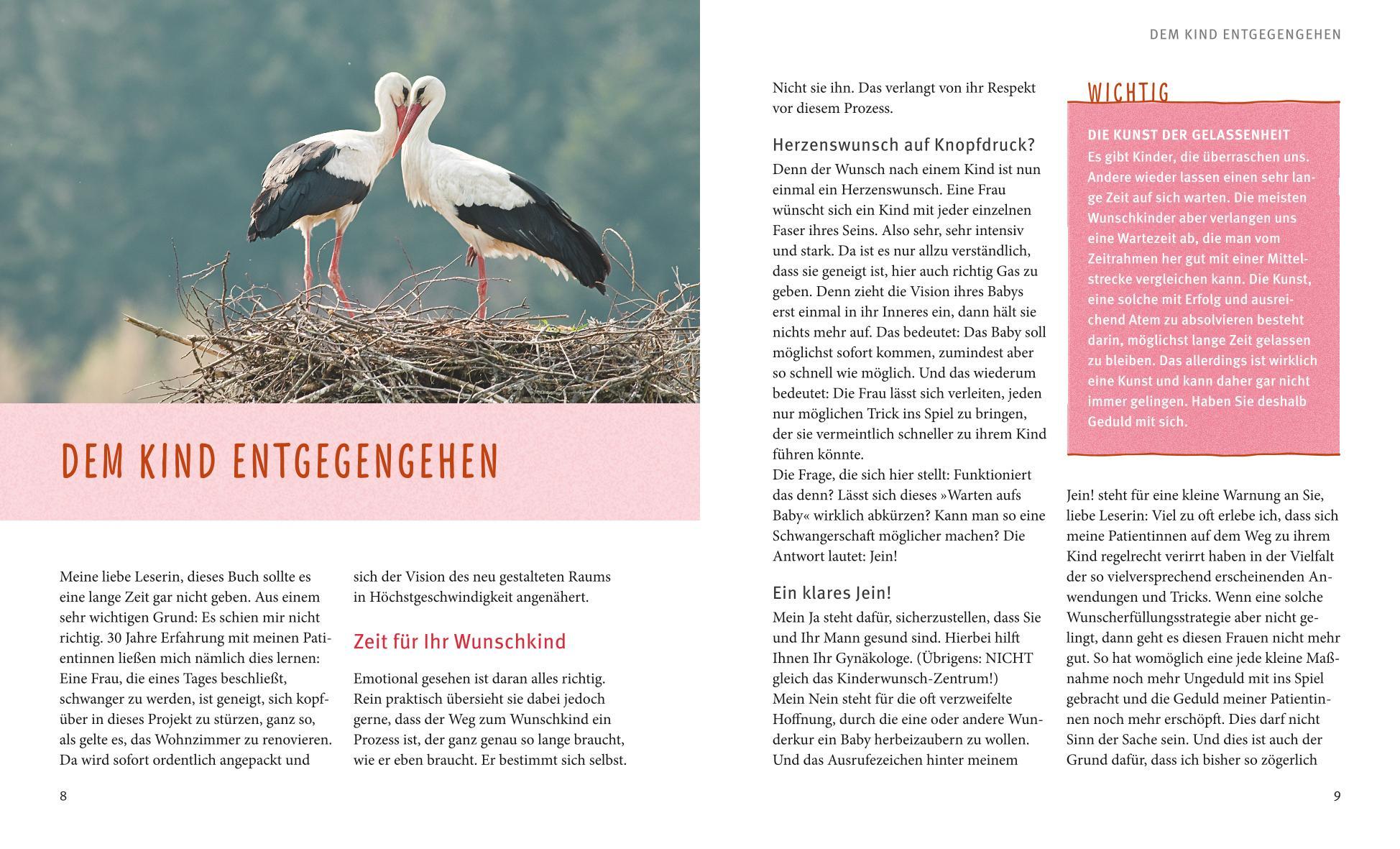 Beispielinhalt (Bild) Kinderwunsch