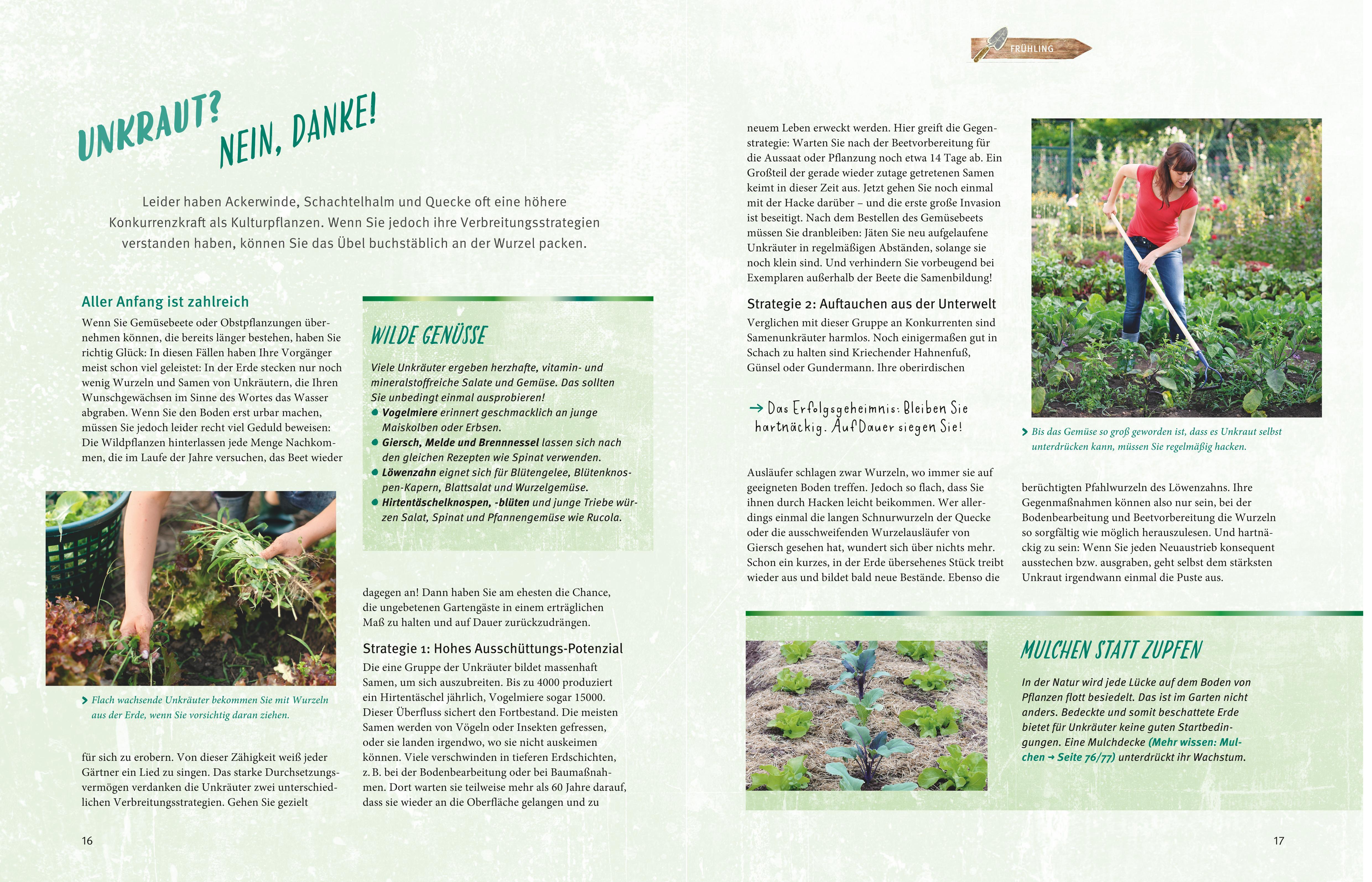 Beispielinhalt (Bild) Selbstversorgt  - Das Startprogramm für Einsteiger