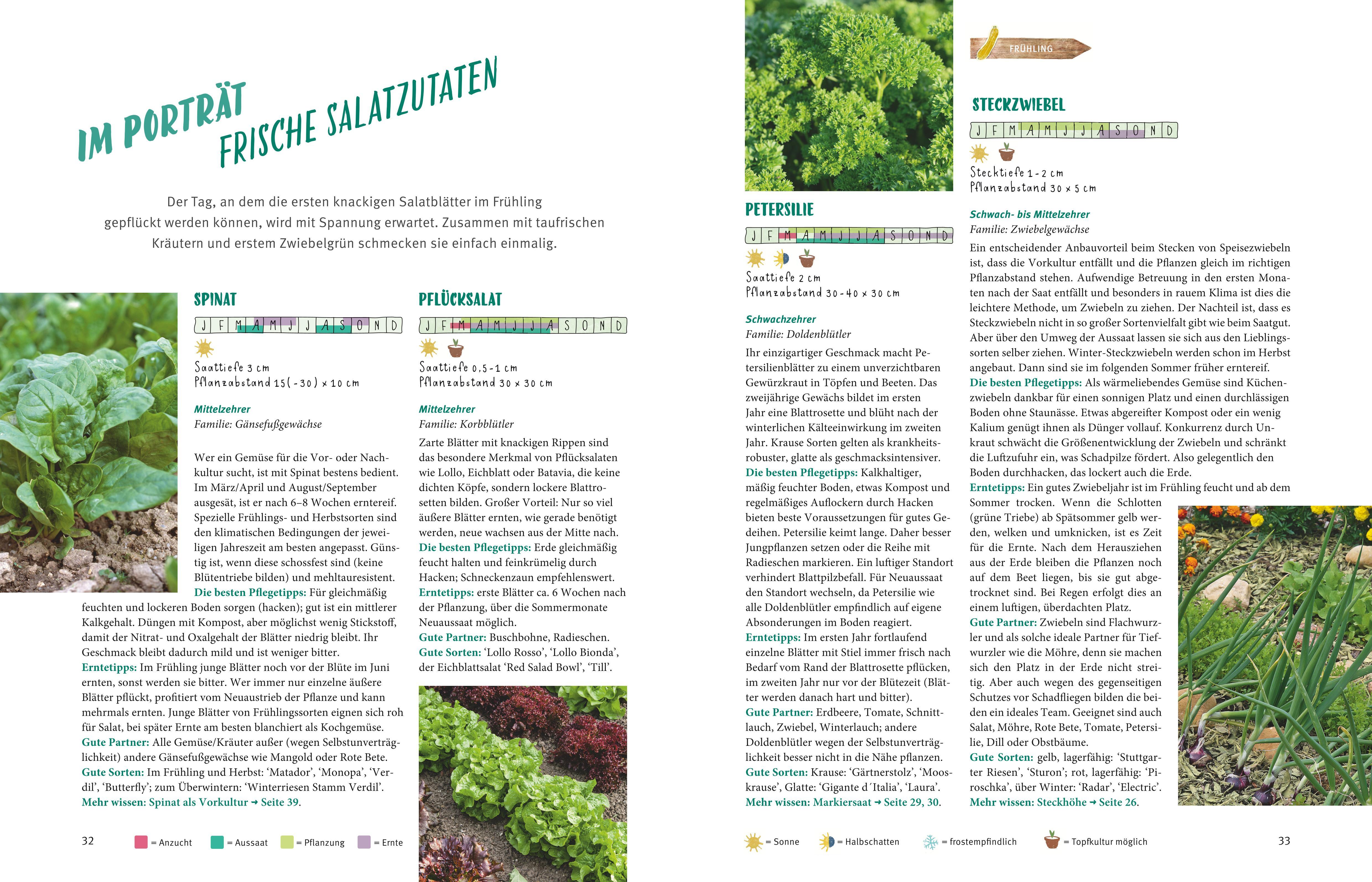 Beispielinhalt (Bild) Selbstversorgt  - Das Startprogramm für Einsteiger