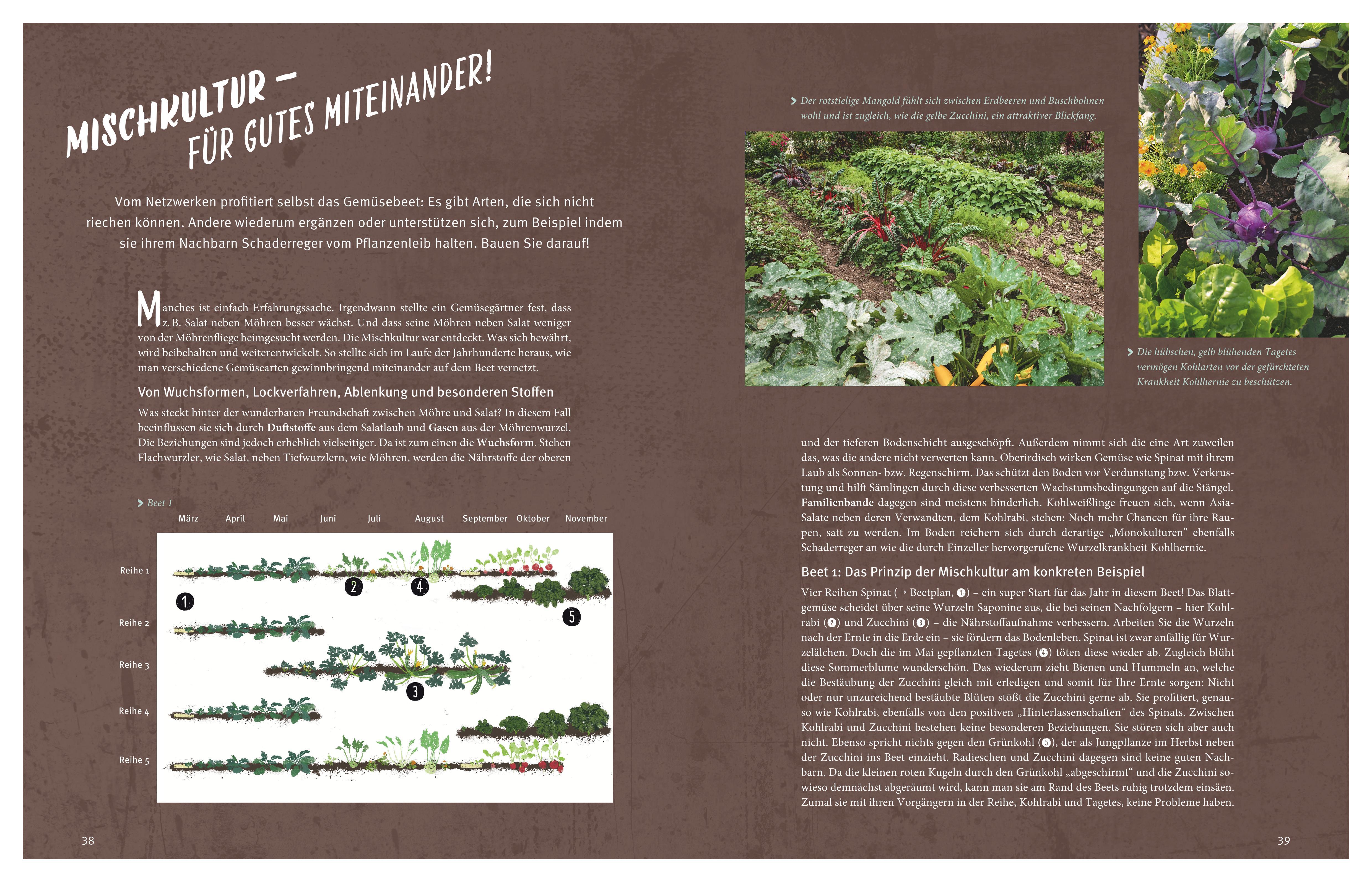 Beispielinhalt (Bild) Selbstversorgt  - Das Startprogramm für Einsteiger