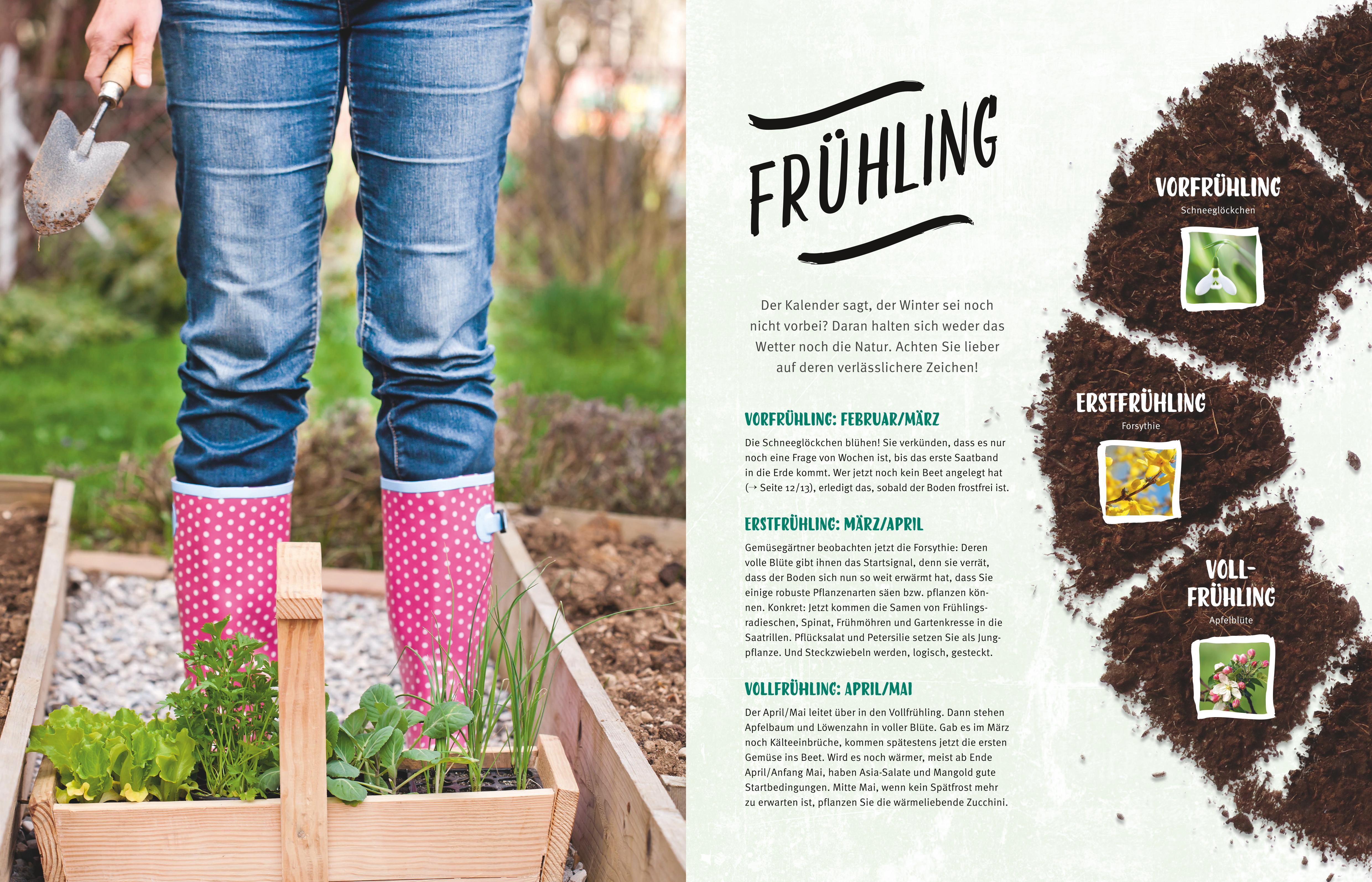 Beispielinhalt (Bild) Selbstversorgt  - Das Startprogramm für Einsteiger