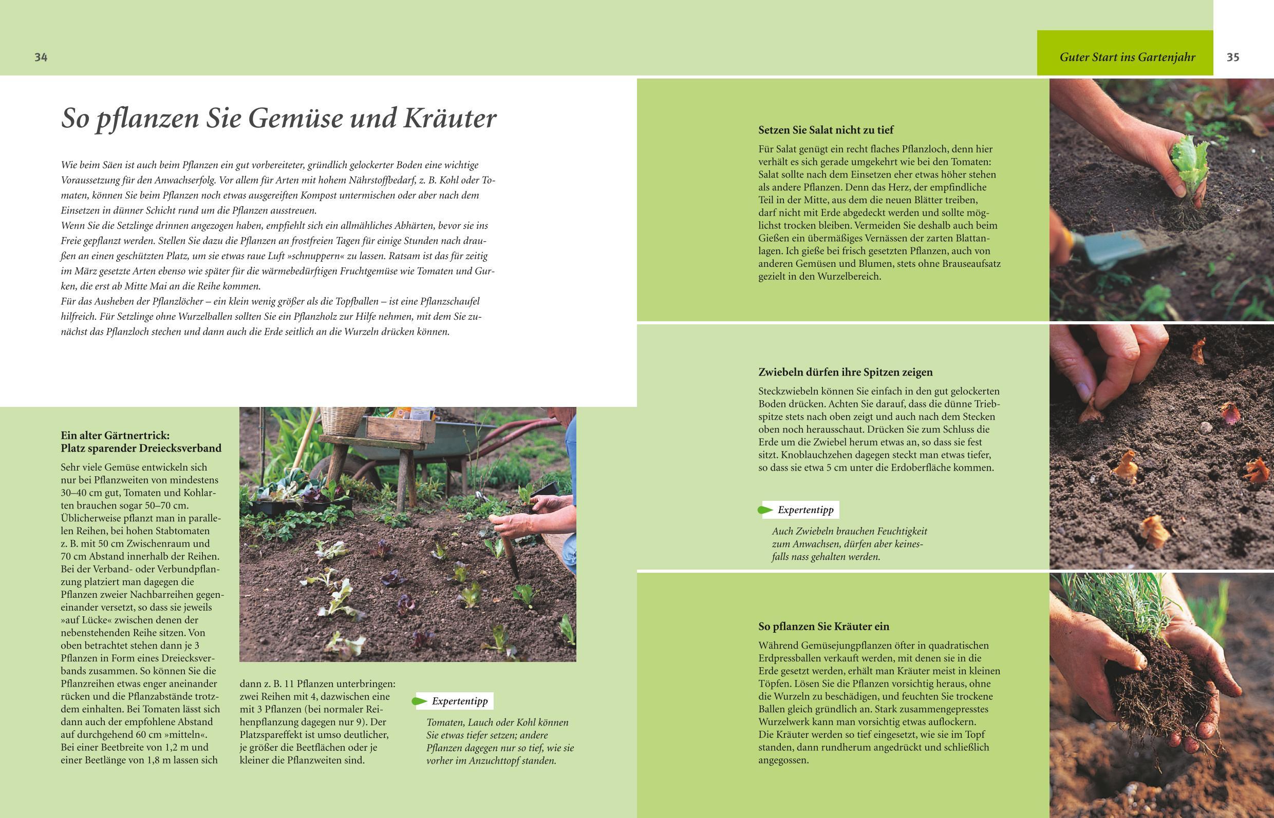 Beispielinhalt (Bild) Gartenjahr für Einsteiger