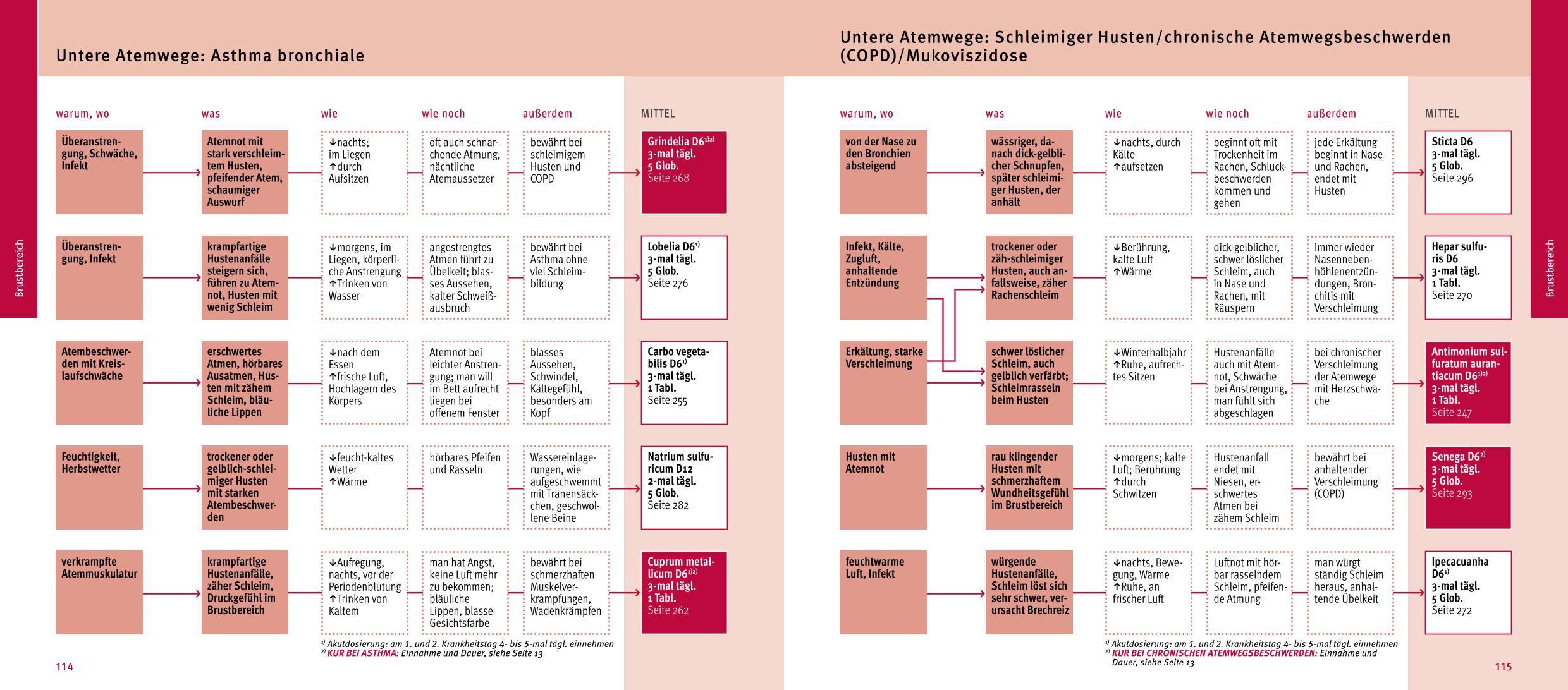 Beispielinhalt (Bild) MaxiQuickfinder Homöopathie