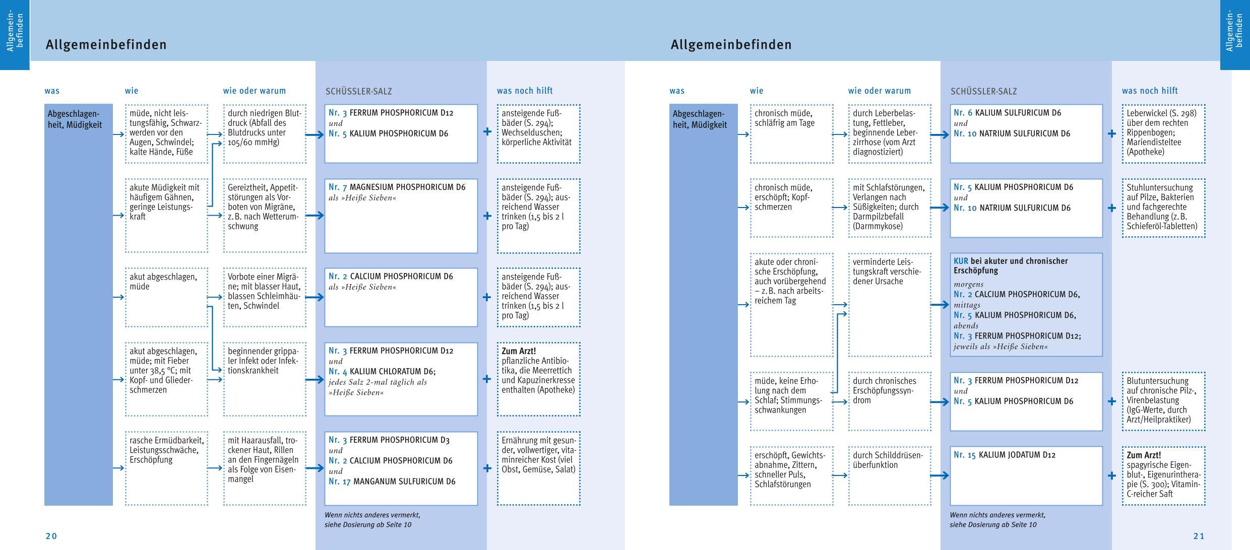 Beispielinhalt (Bild) Maxi-Quickfinder Schüßler-Salze