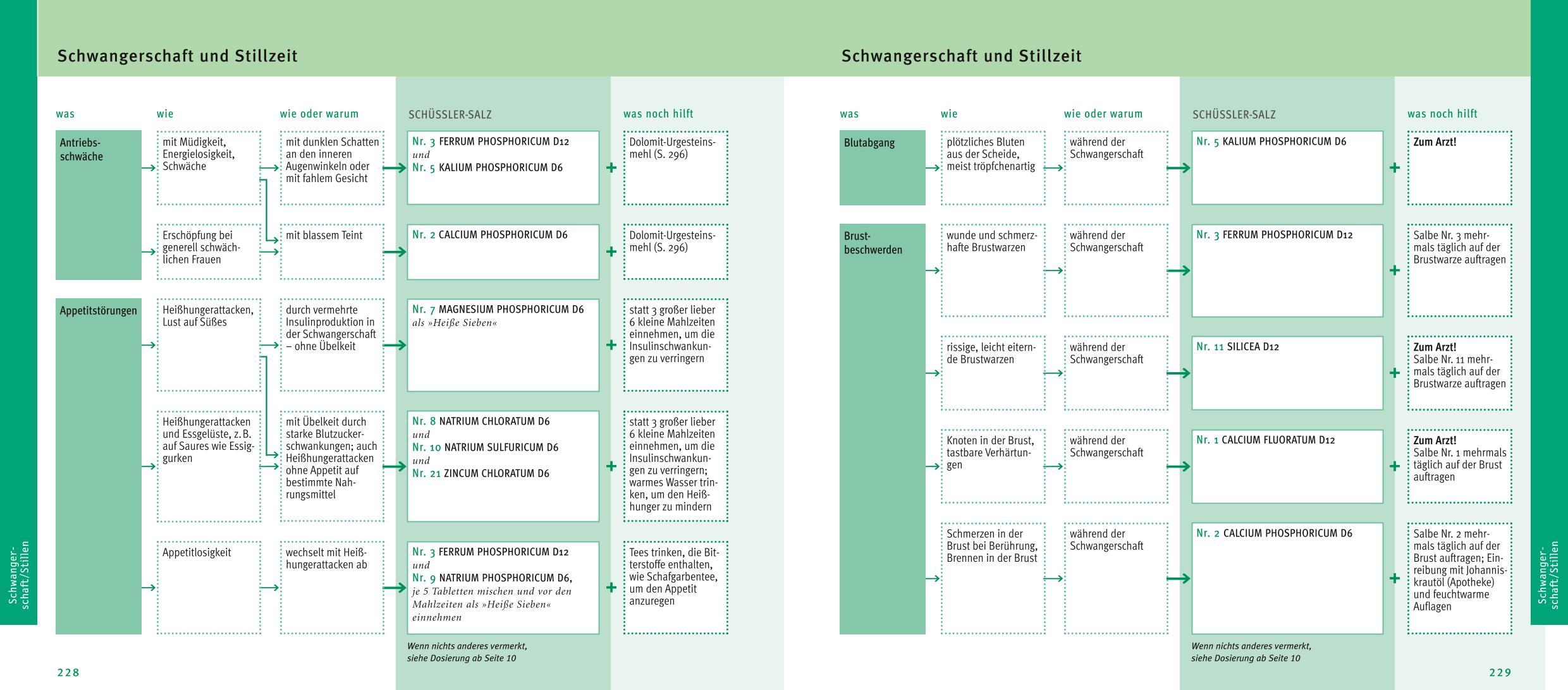 Beispielinhalt (Bild) Maxi-Quickfinder Schüßler-Salze