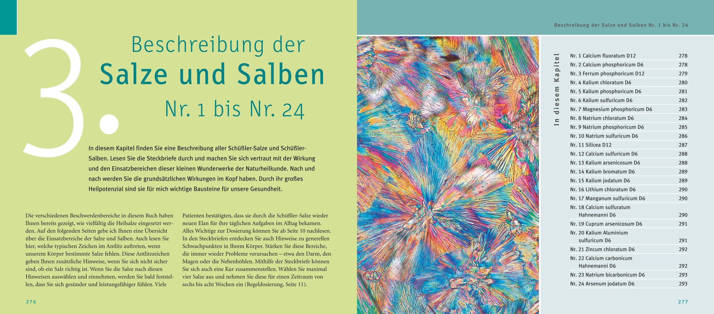 Beispielinhalt (Bild) Maxi-Quickfinder Schüßler-Salze