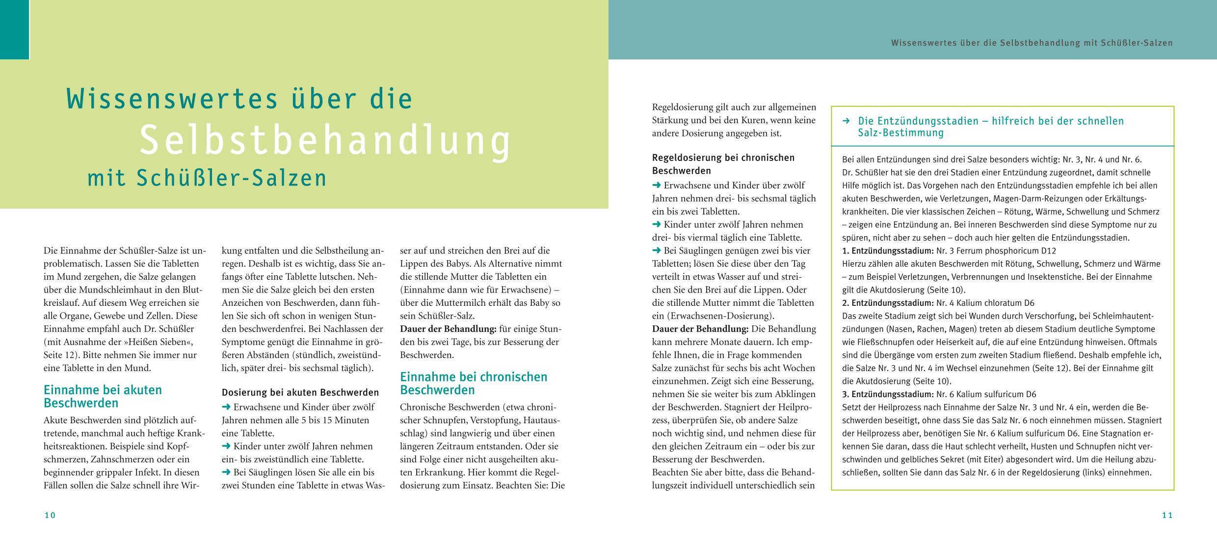 Beispielinhalt (Bild) Maxi-Quickfinder Schüßler-Salze