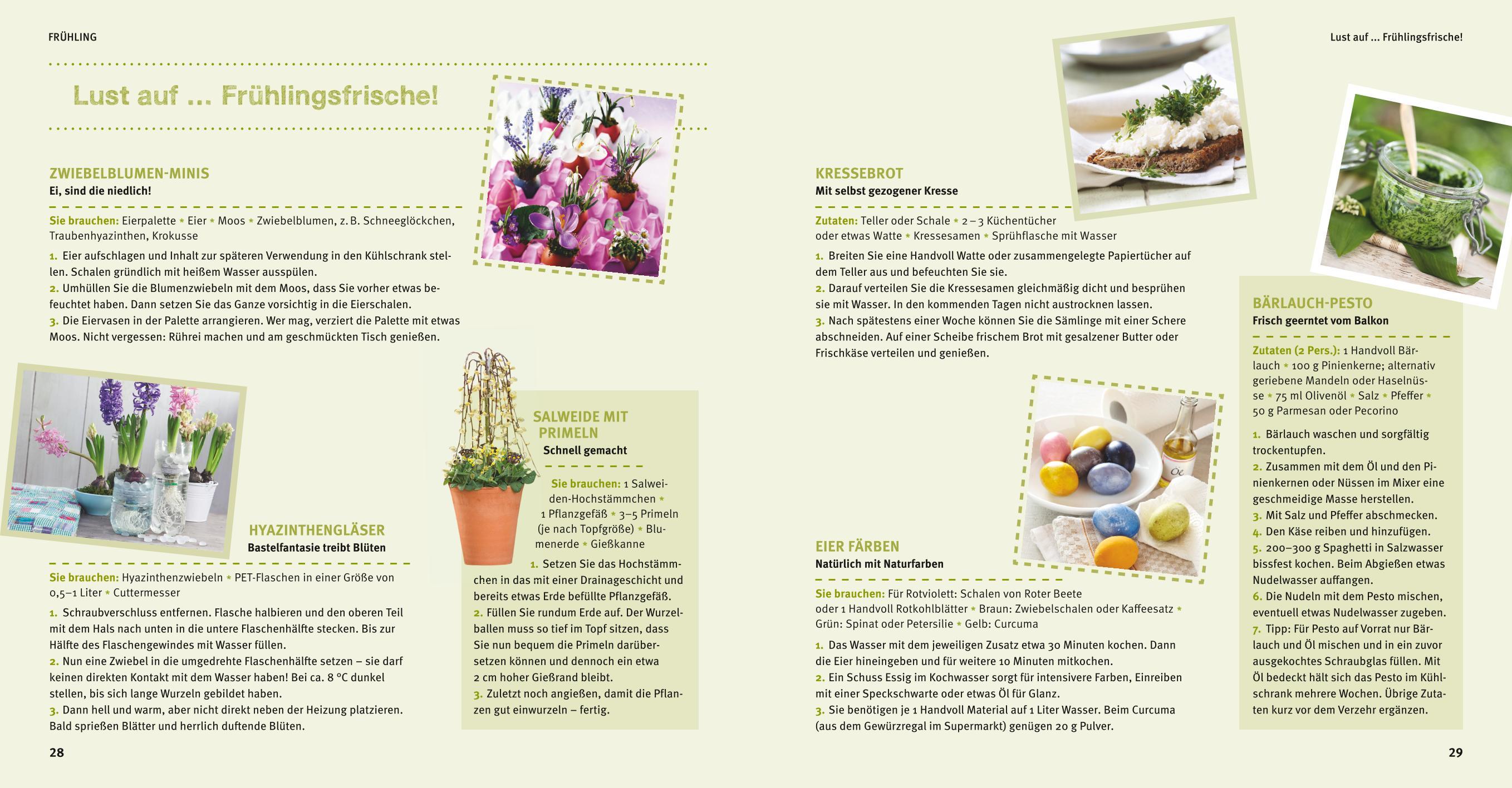 Beispielinhalt (Bild) Balkon Basics