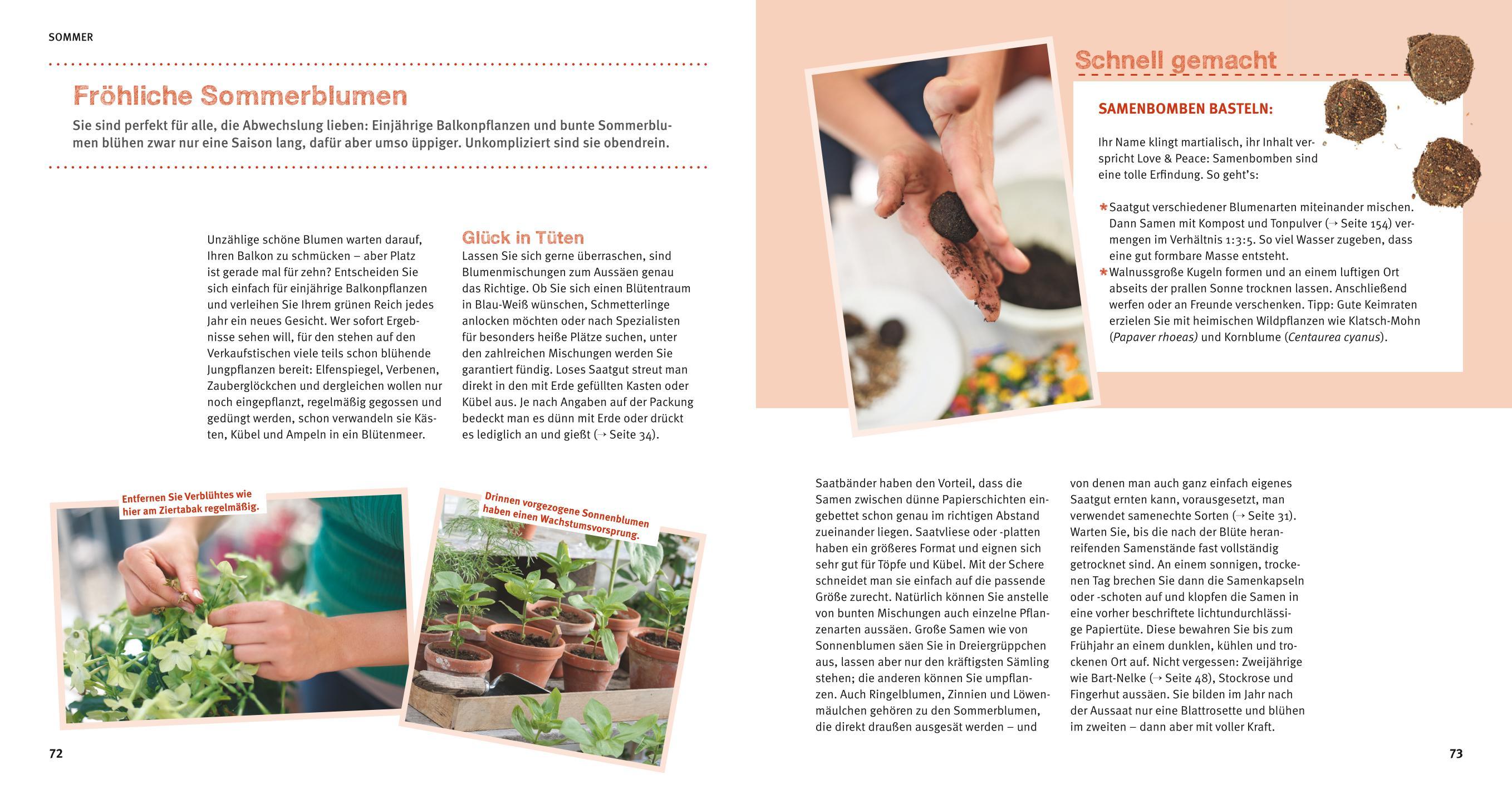 Beispielinhalt (Bild) Balkon Basics