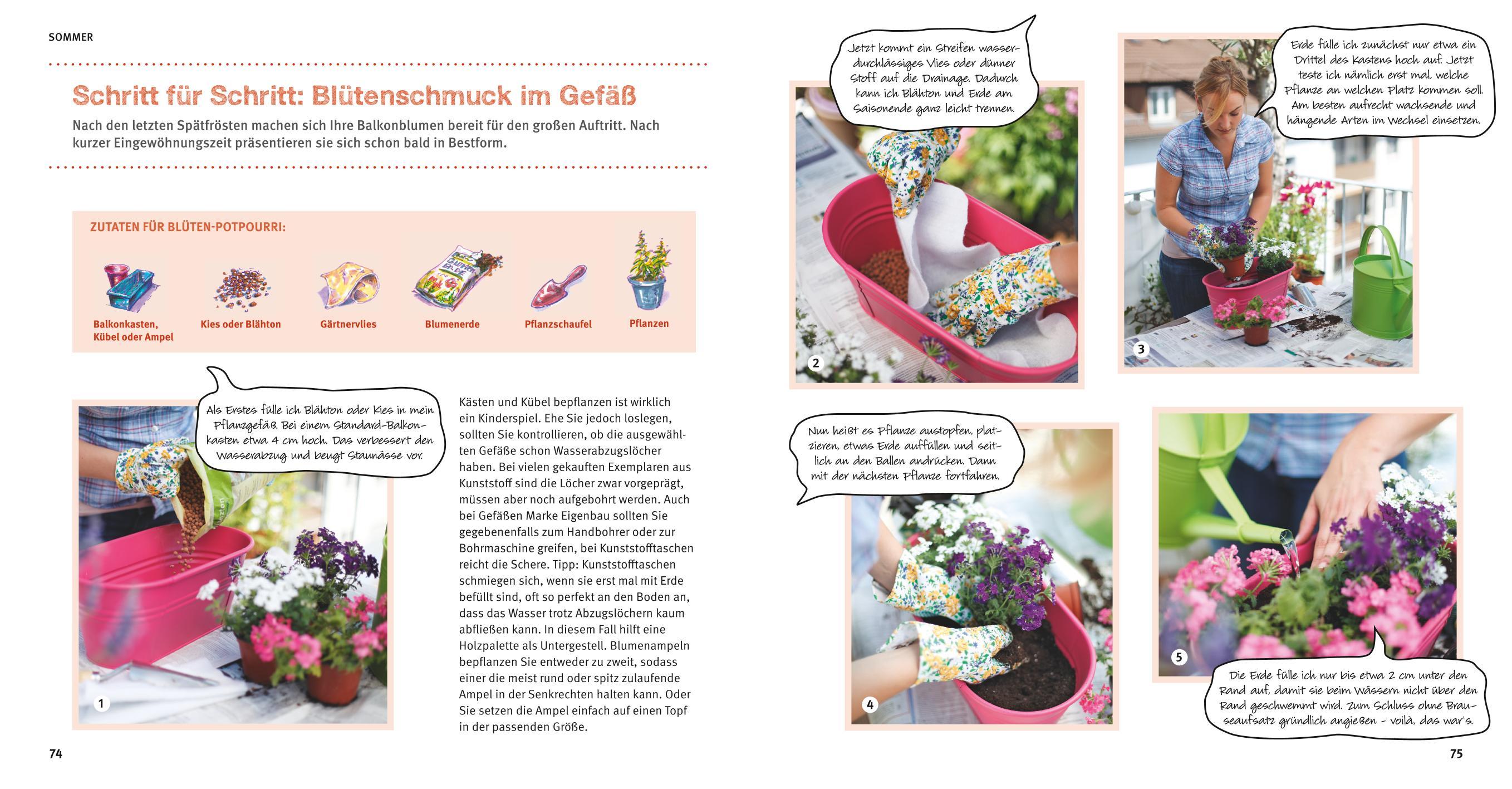 Beispielinhalt (Bild) Balkon Basics