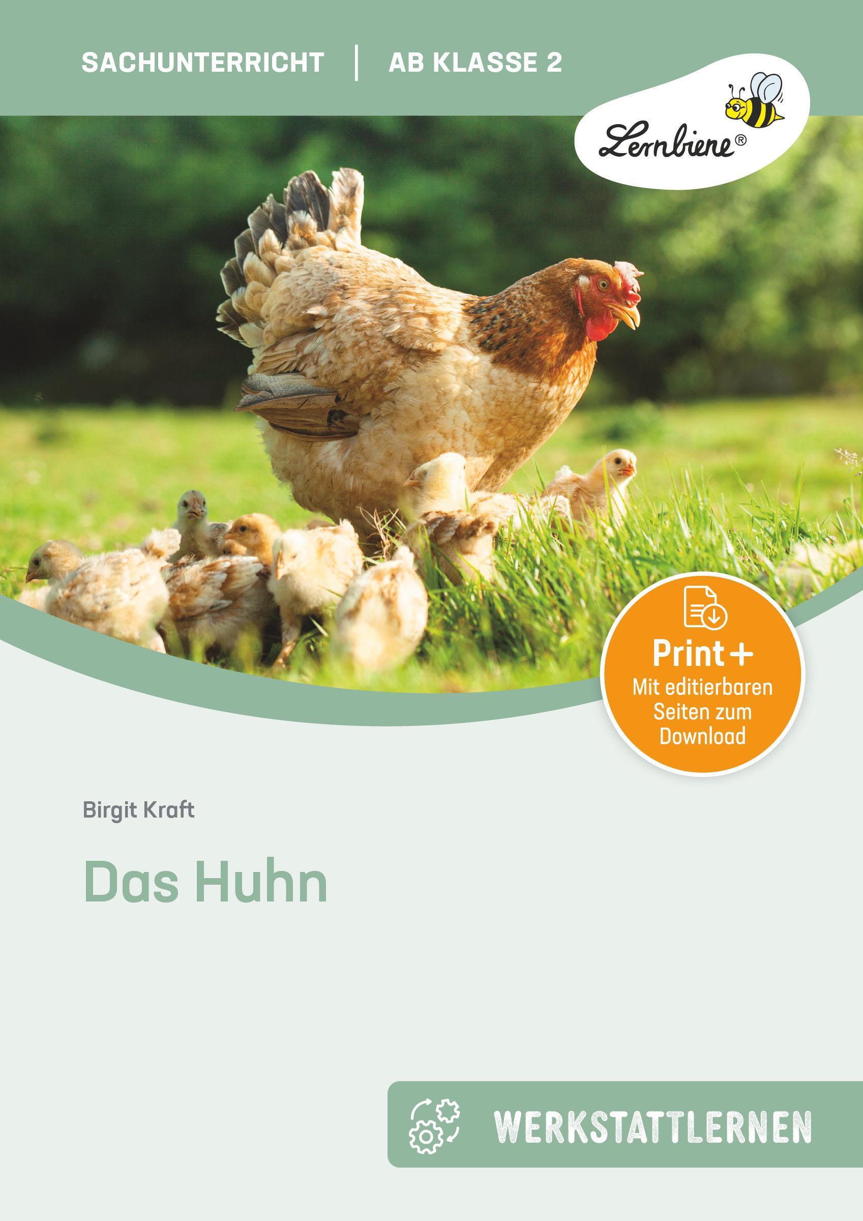 Vorderes Coverbild Das Huhn. Grundschule, Sachunterricht, Klasse 2