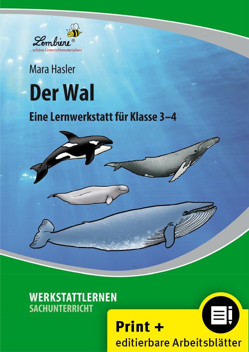 Vorderes Coverbild Der Wal