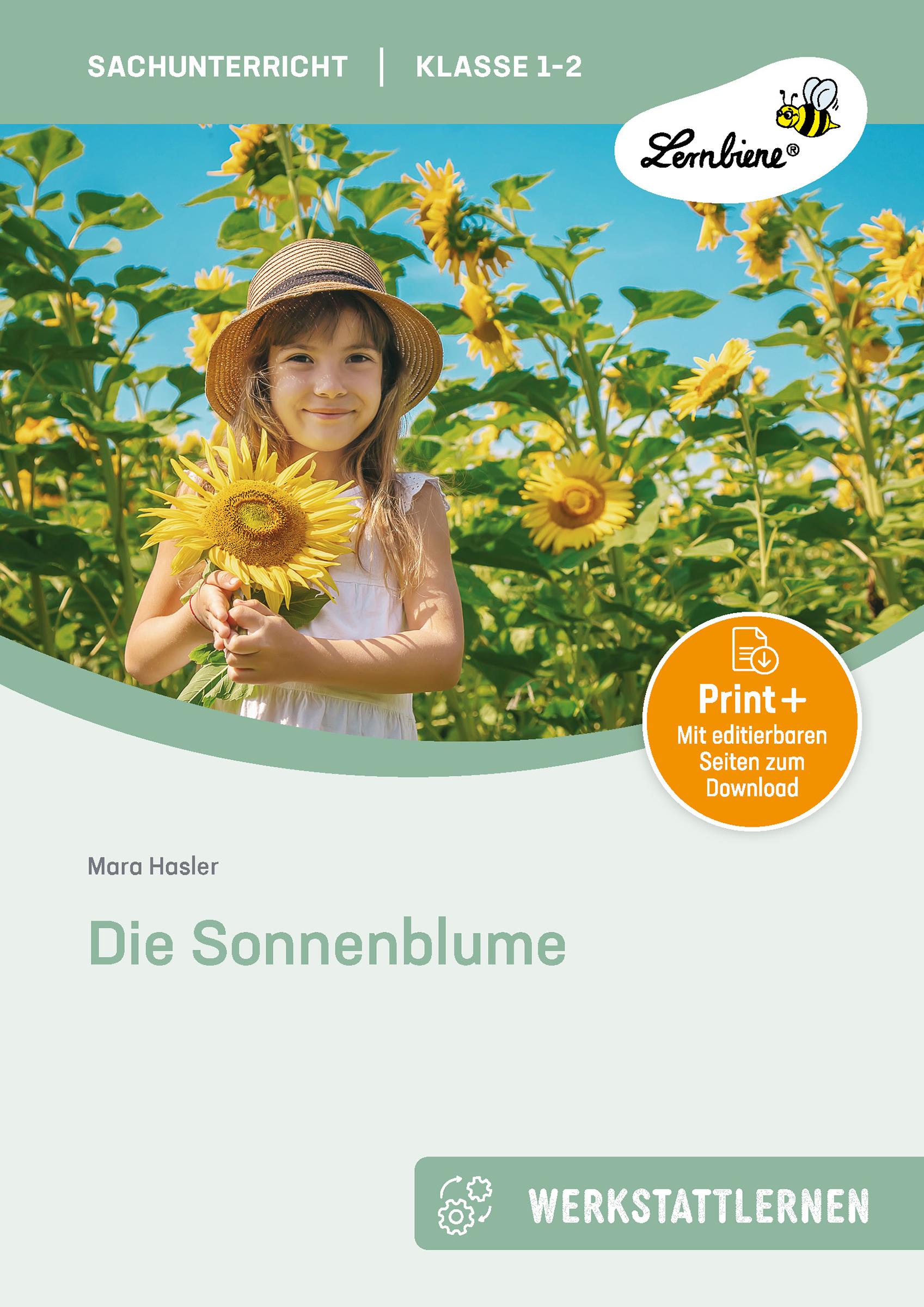 Vorderes Coverbild Die Sonnenblume. Grundschule, Sachunterricht, Klasse 1-2